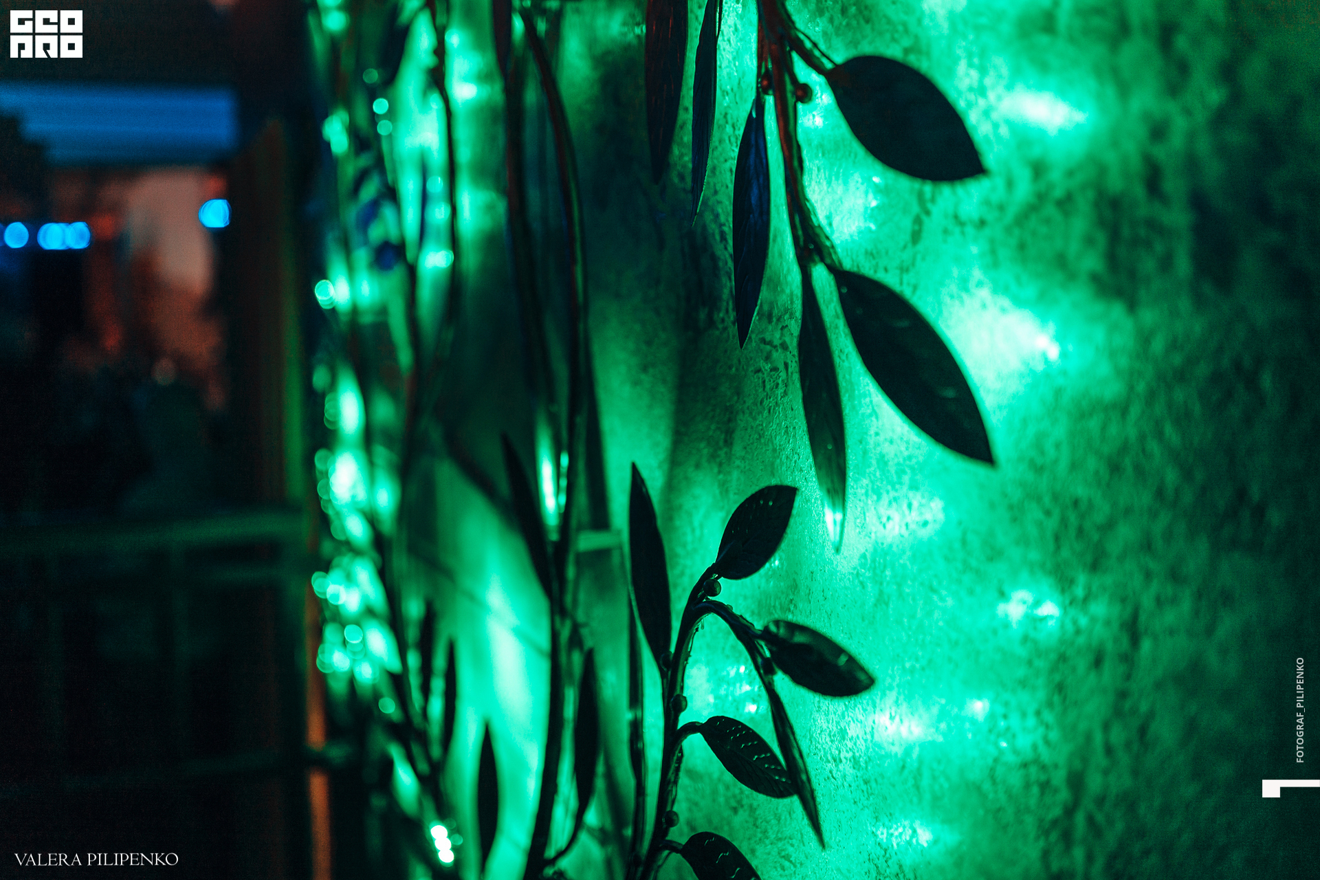 733A0846-77 копия.jpg