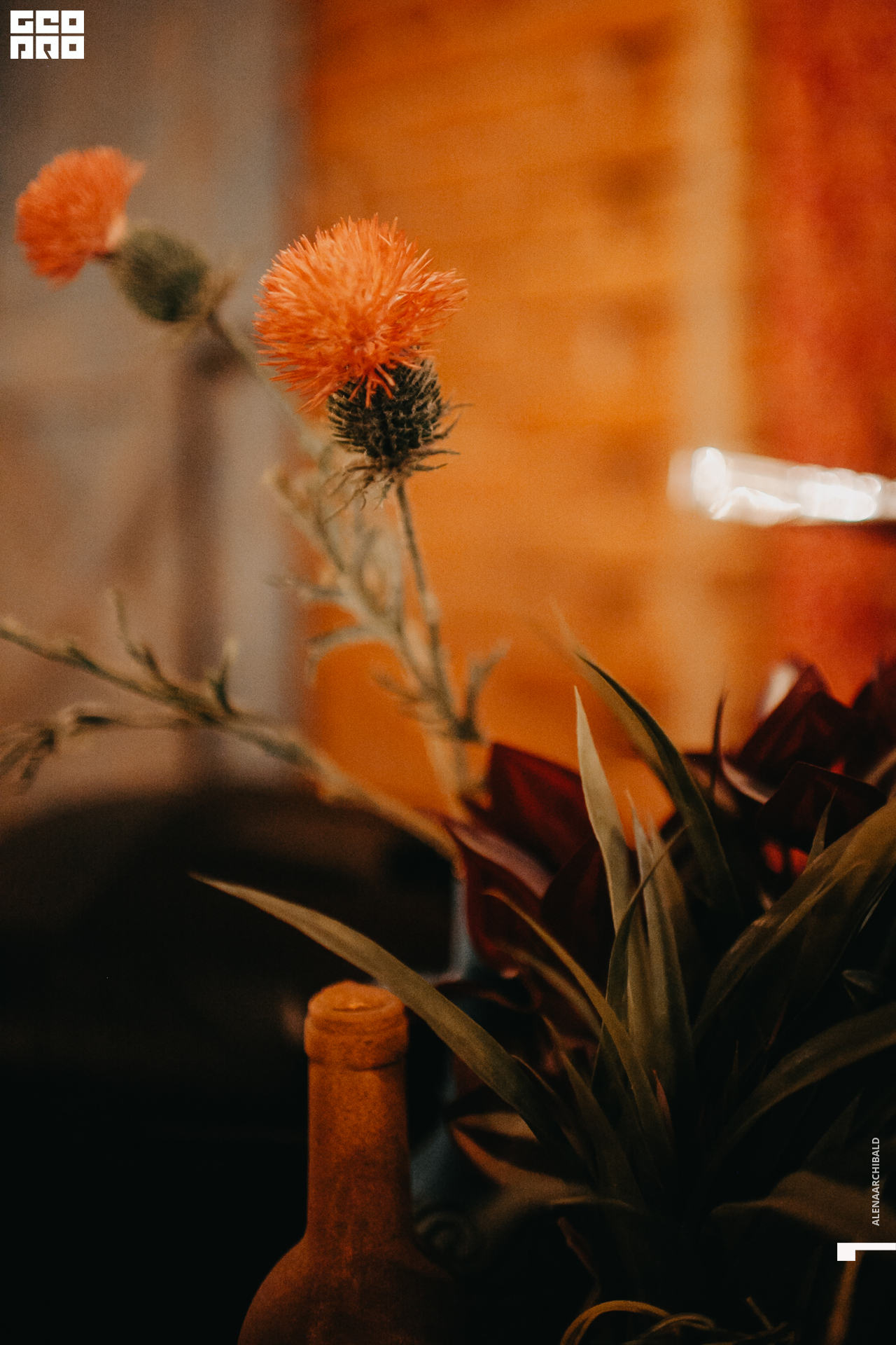 2019-10-04 20-00-00_alenaarchibald_0064.jpg