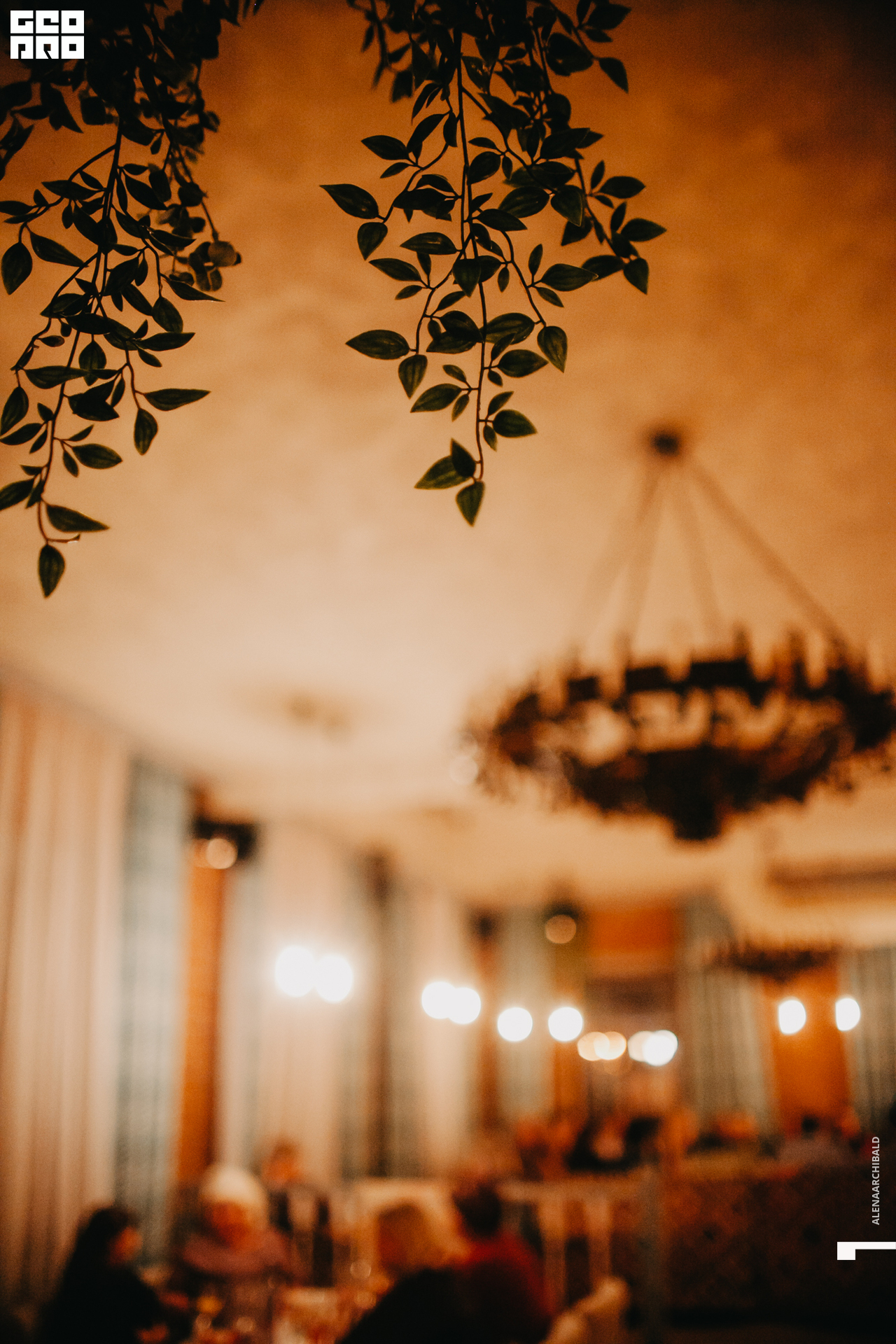 2019-10-04 20-00-00_alenaarchibald_0059.jpg