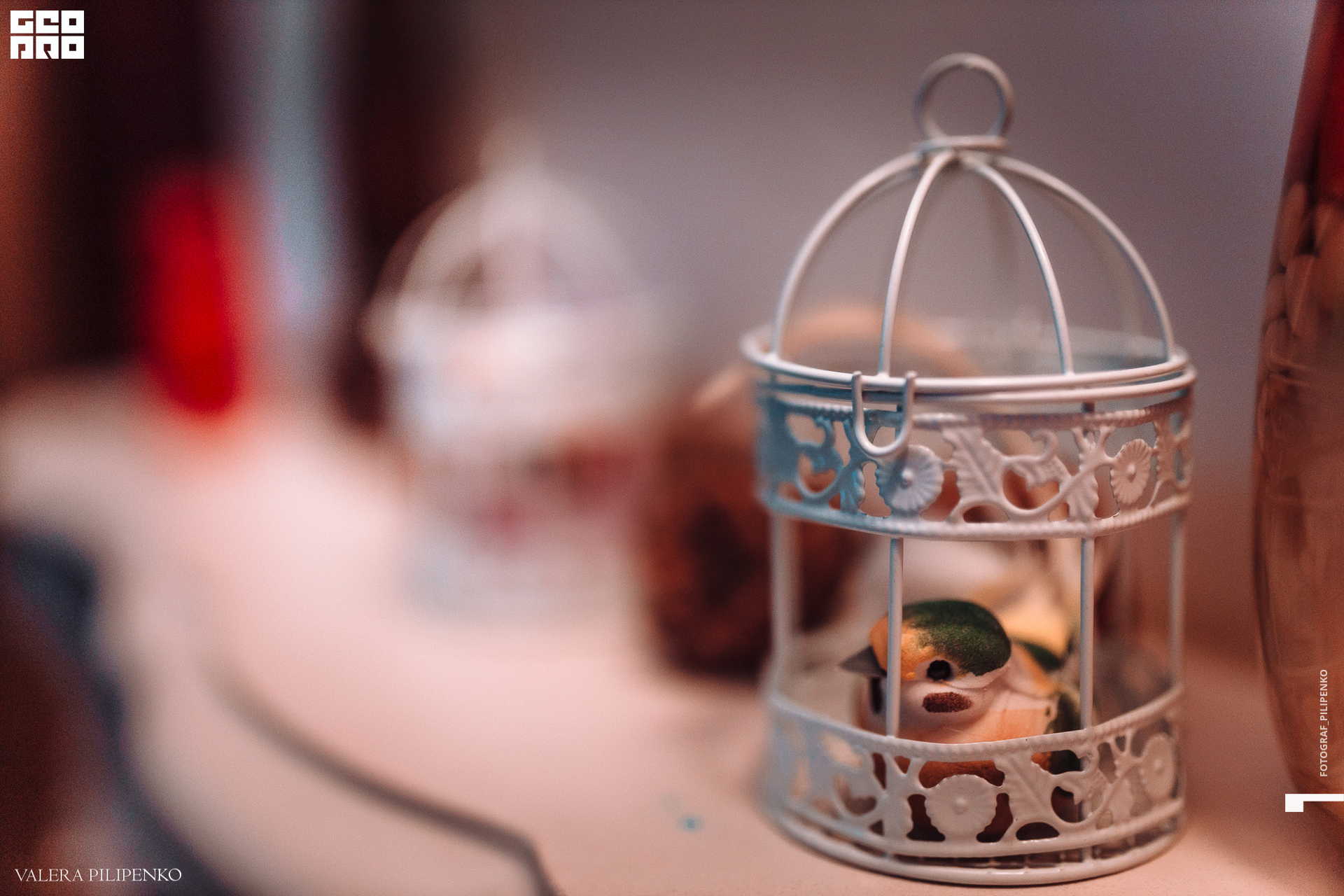 733A0707-22 копия.jpg