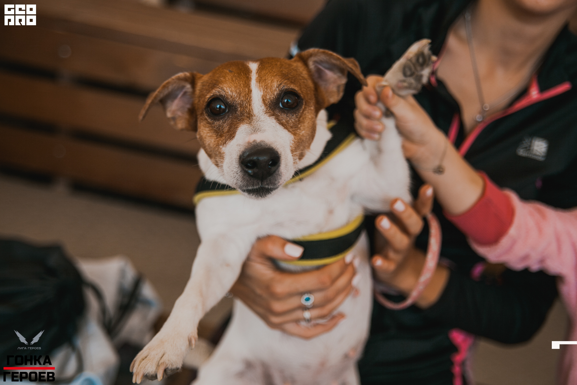 05_10_19 HR_2300.jpg