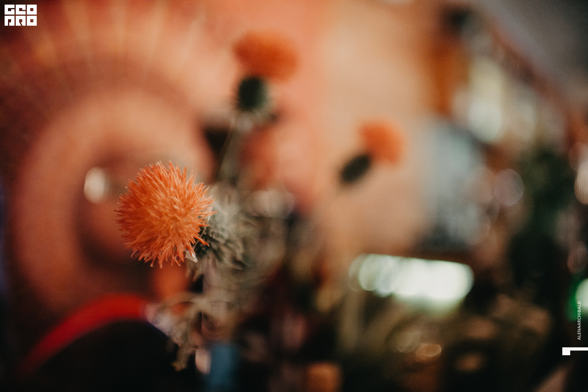 2019-10-04 20-00-00_alenaarchibald_0007.jpg