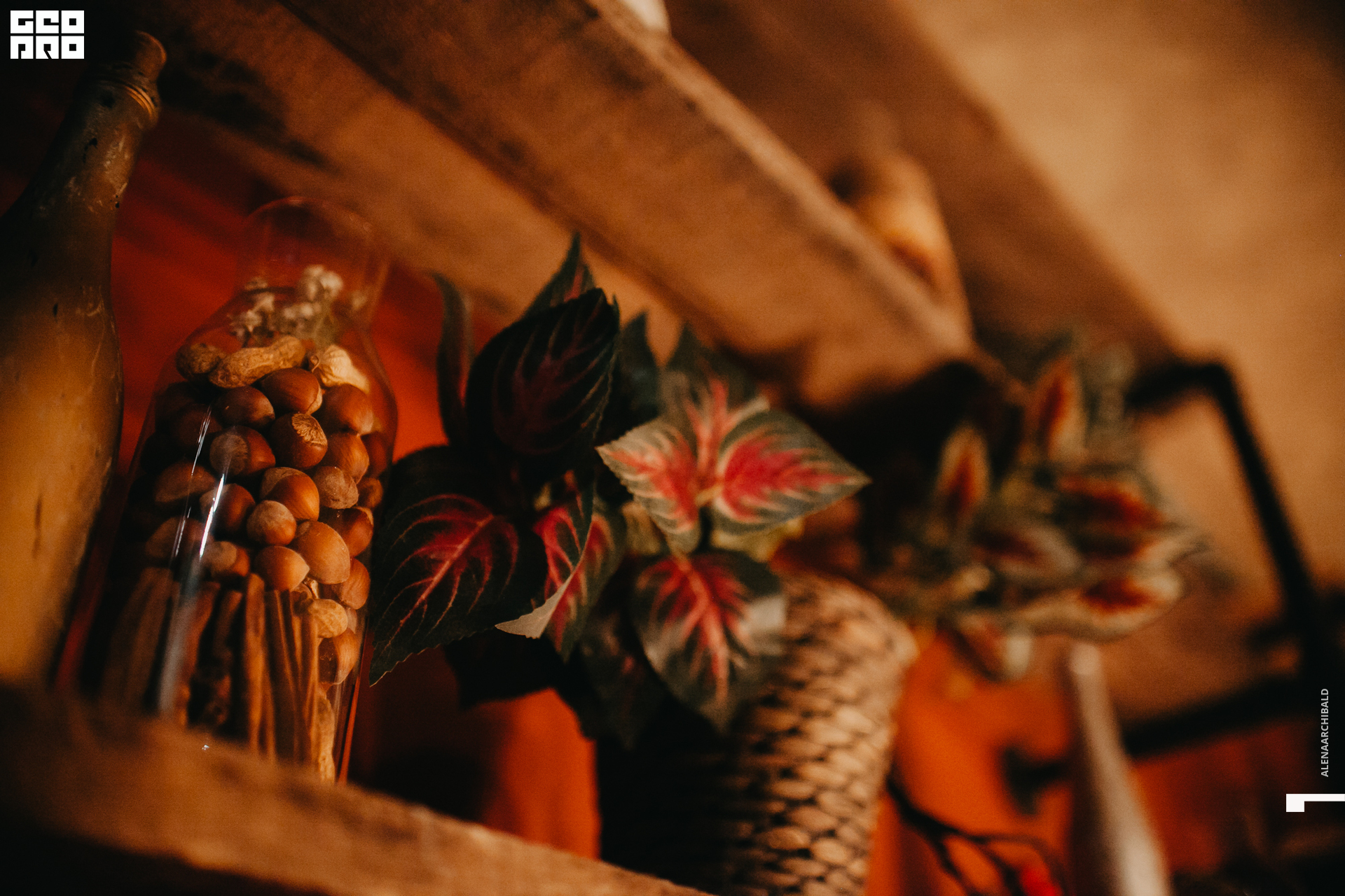 2019-10-04 20-00-00_alenaarchibald_0043.jpg