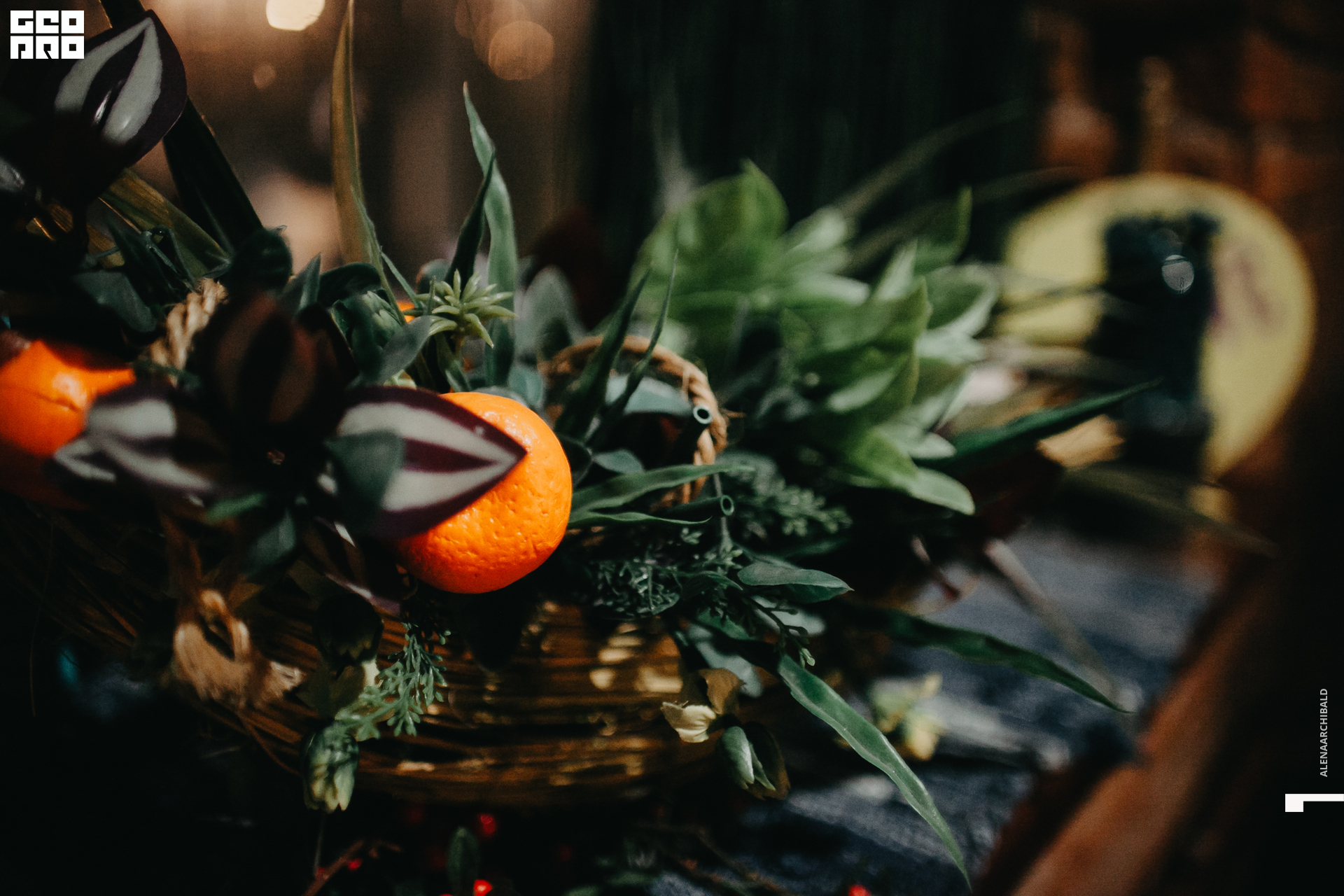 2019-10-04 20-00-00_alenaarchibald_0062.jpg