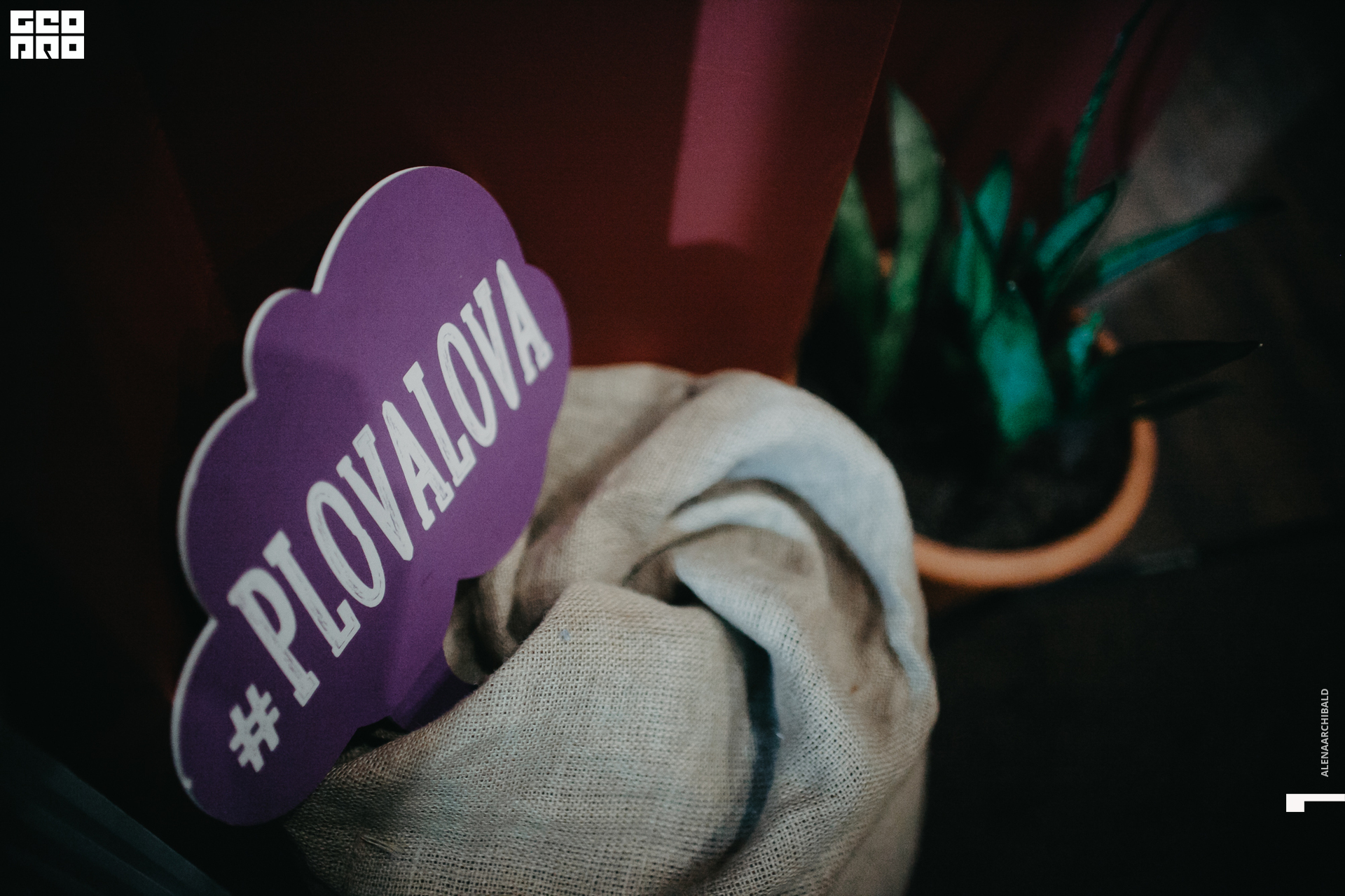 2019-10-04 20-00-00_alenaarchibald_0024.jpg