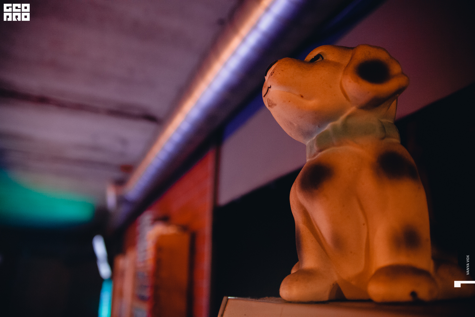 2019-10-04 21-00-00_Вокс_0002.jpg