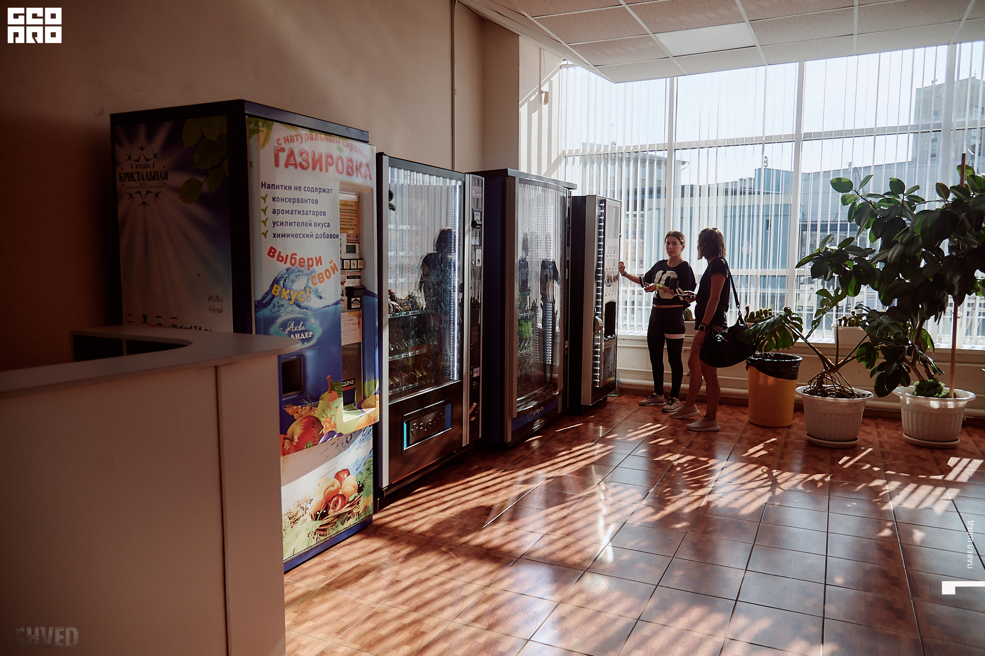 2019-10-05 11-10-00_SHVED_0114.jpg