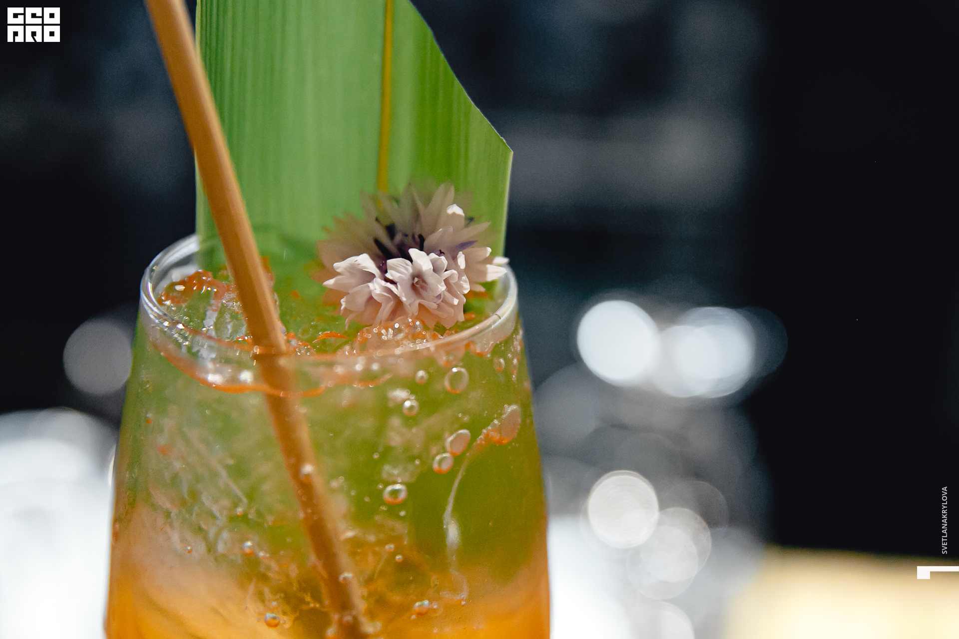 2019-10-04 21-00-00 Krylova_0131.jpg