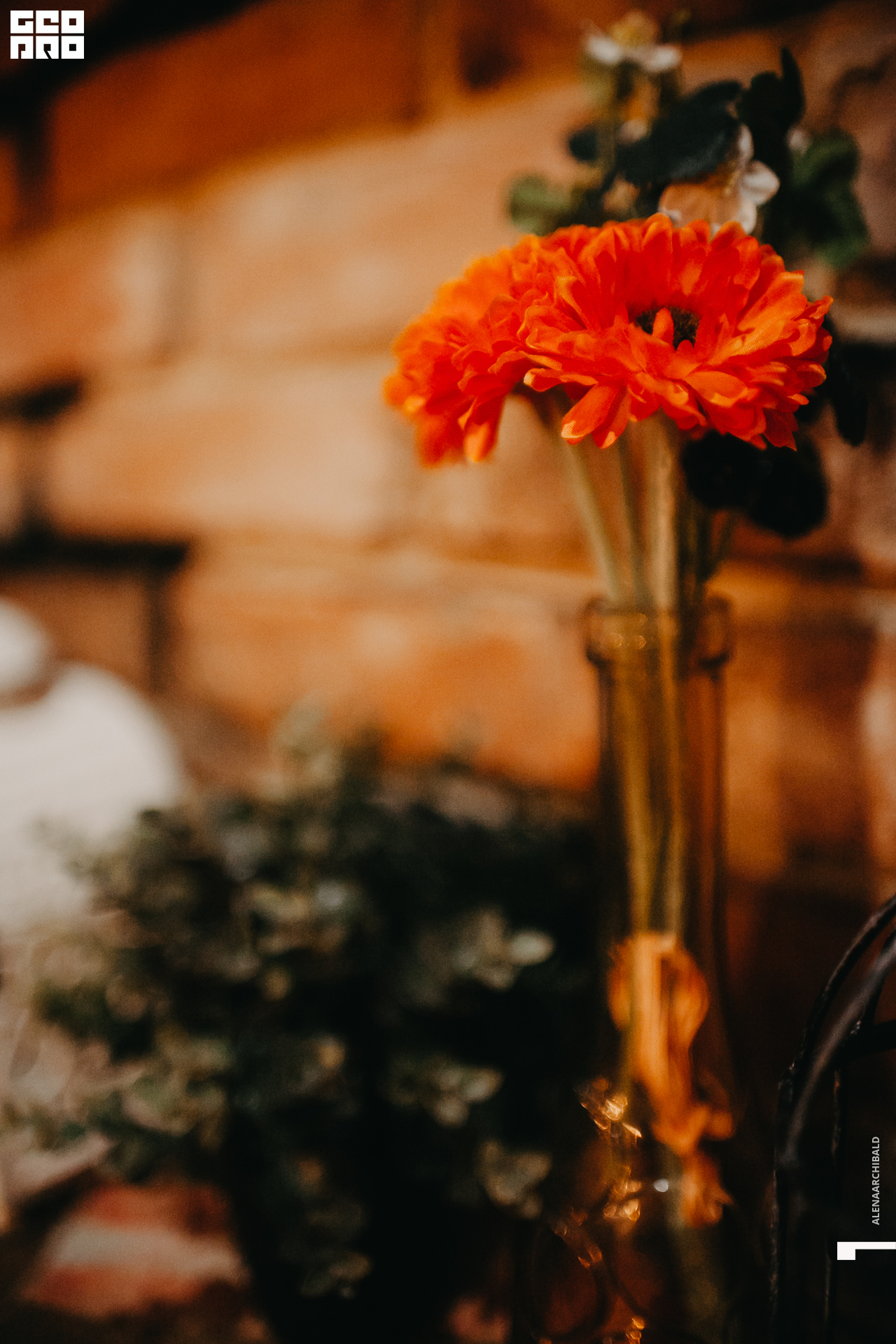 2019-10-04 20-00-00_alenaarchibald_0085.jpg