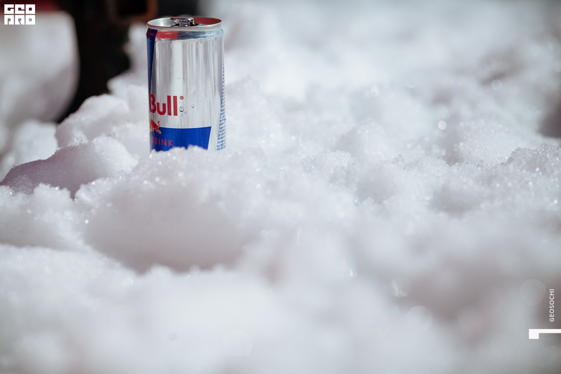 06.04.17 NSC_GEOMETRIA_SOCHI_ 1 (34).jpg