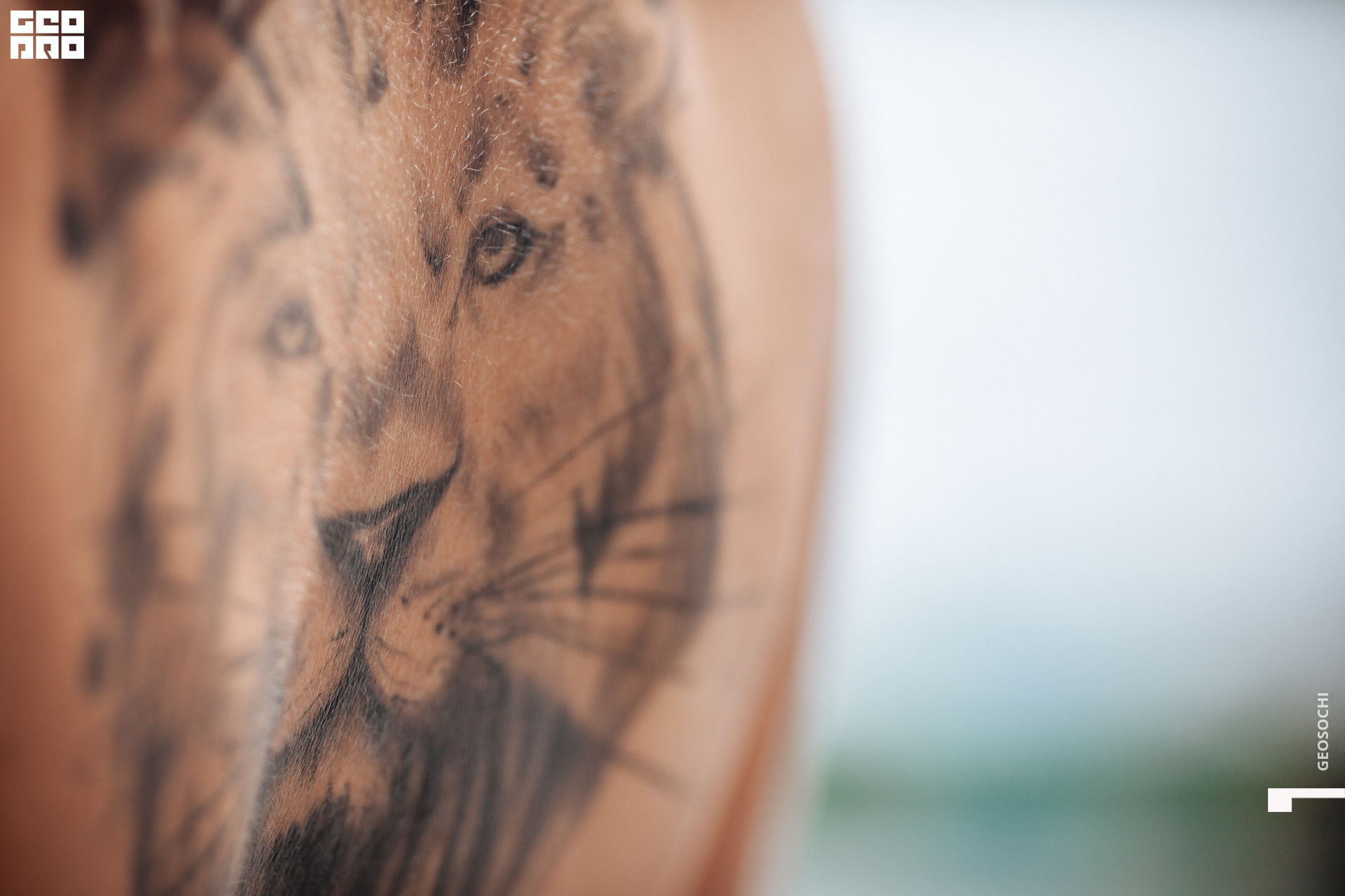 06.04.17 NSC_GEOMETRIA_SOCHI_ 1 (367).jpg