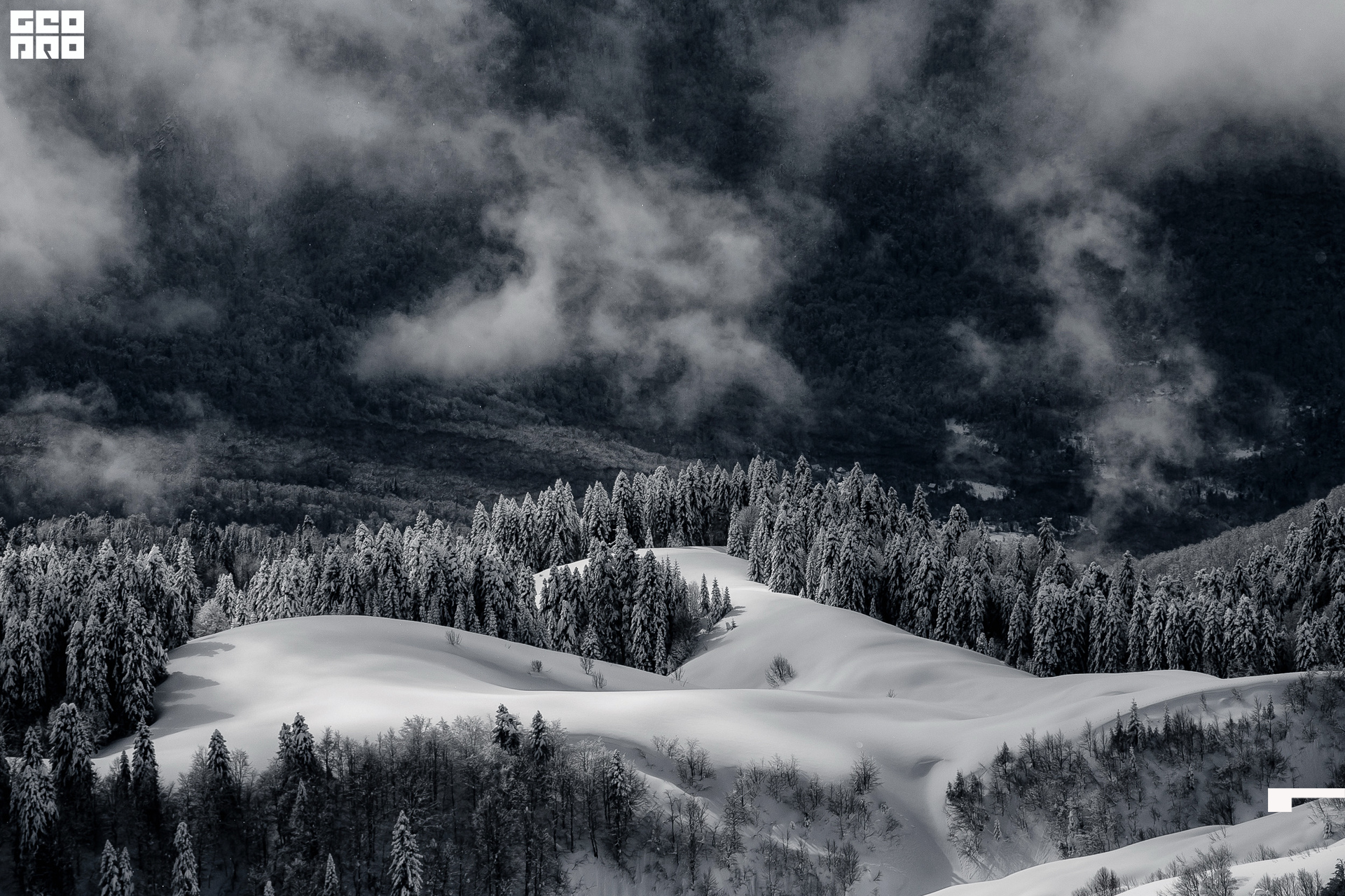 15.02.20 FWQ_002.jpg