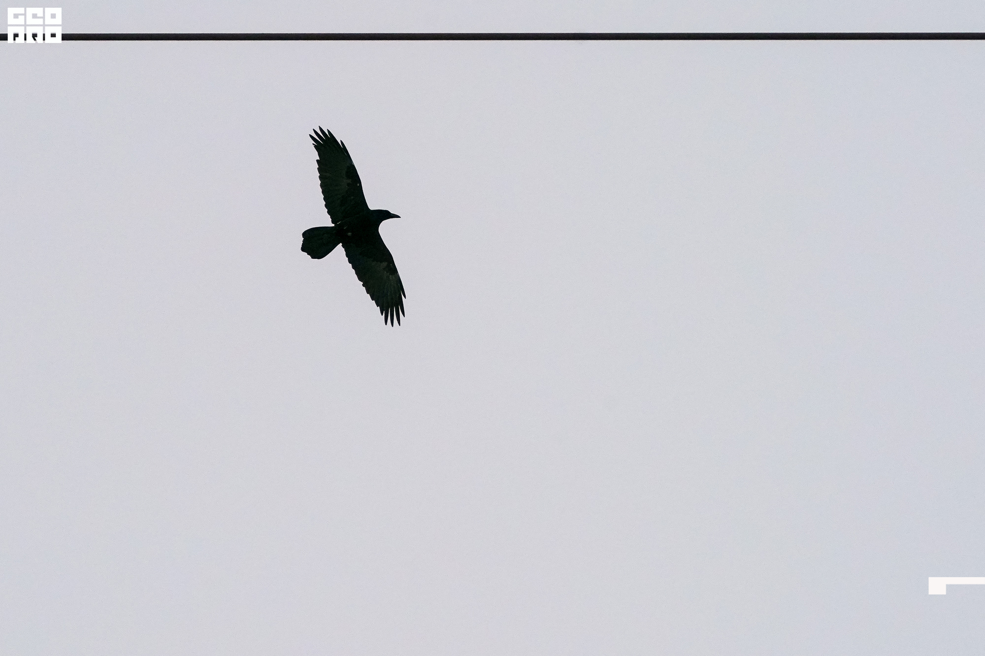 15.02.20 FWQ_070.jpg