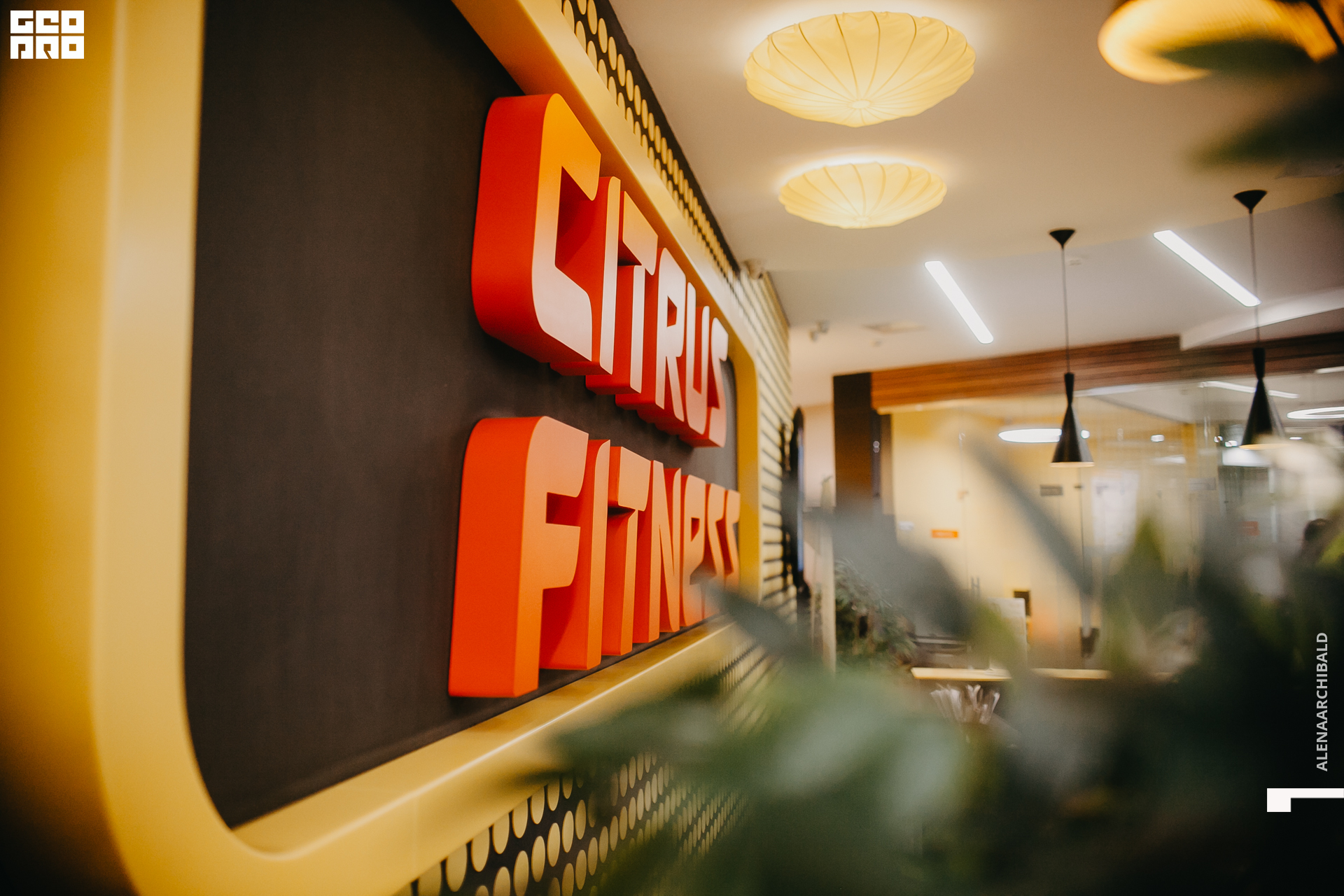 2020-02-13 18-30-41_alenaarchibald_0001.jpg