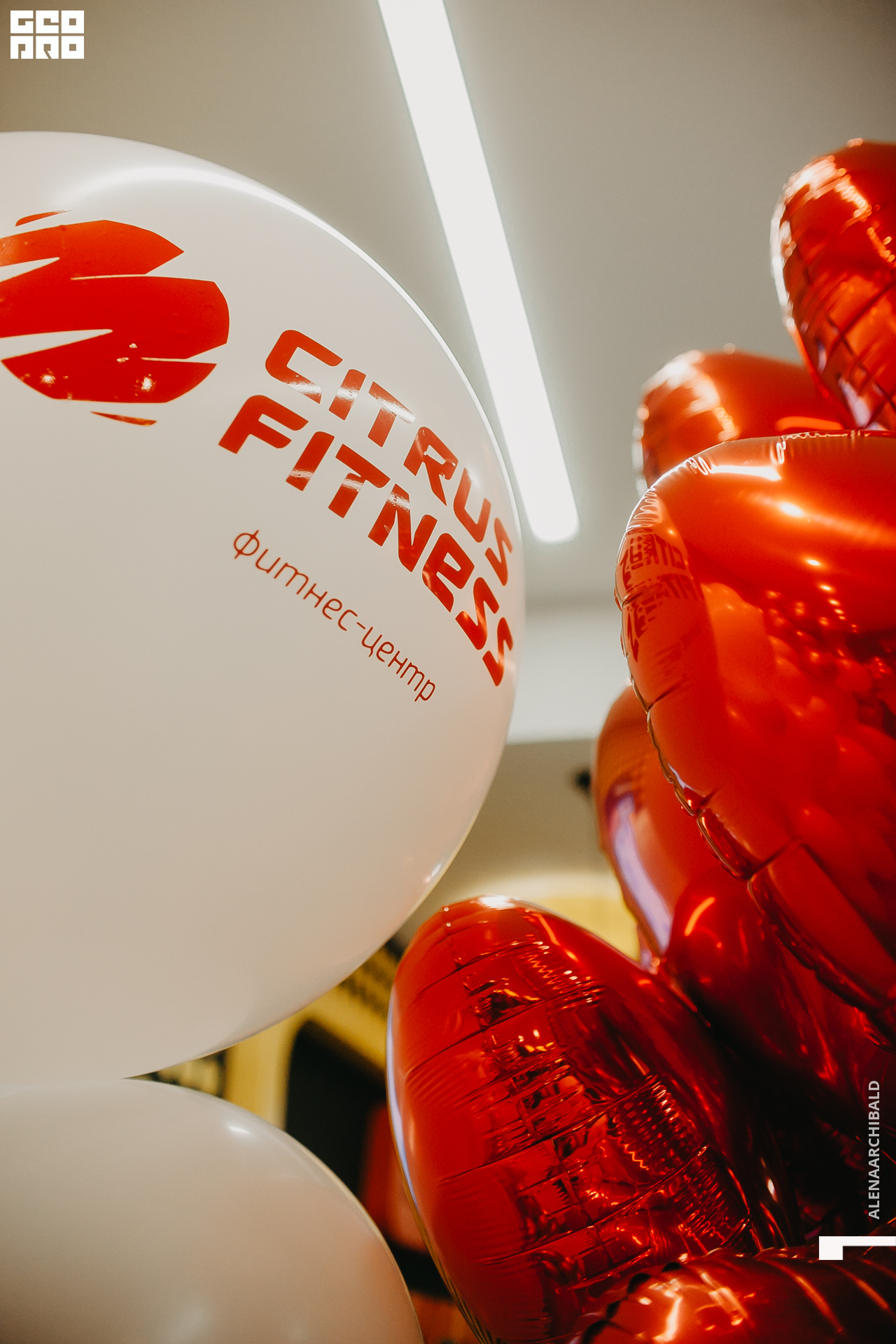 2020-02-13 18-30-41_alenaarchibald_0003.jpg