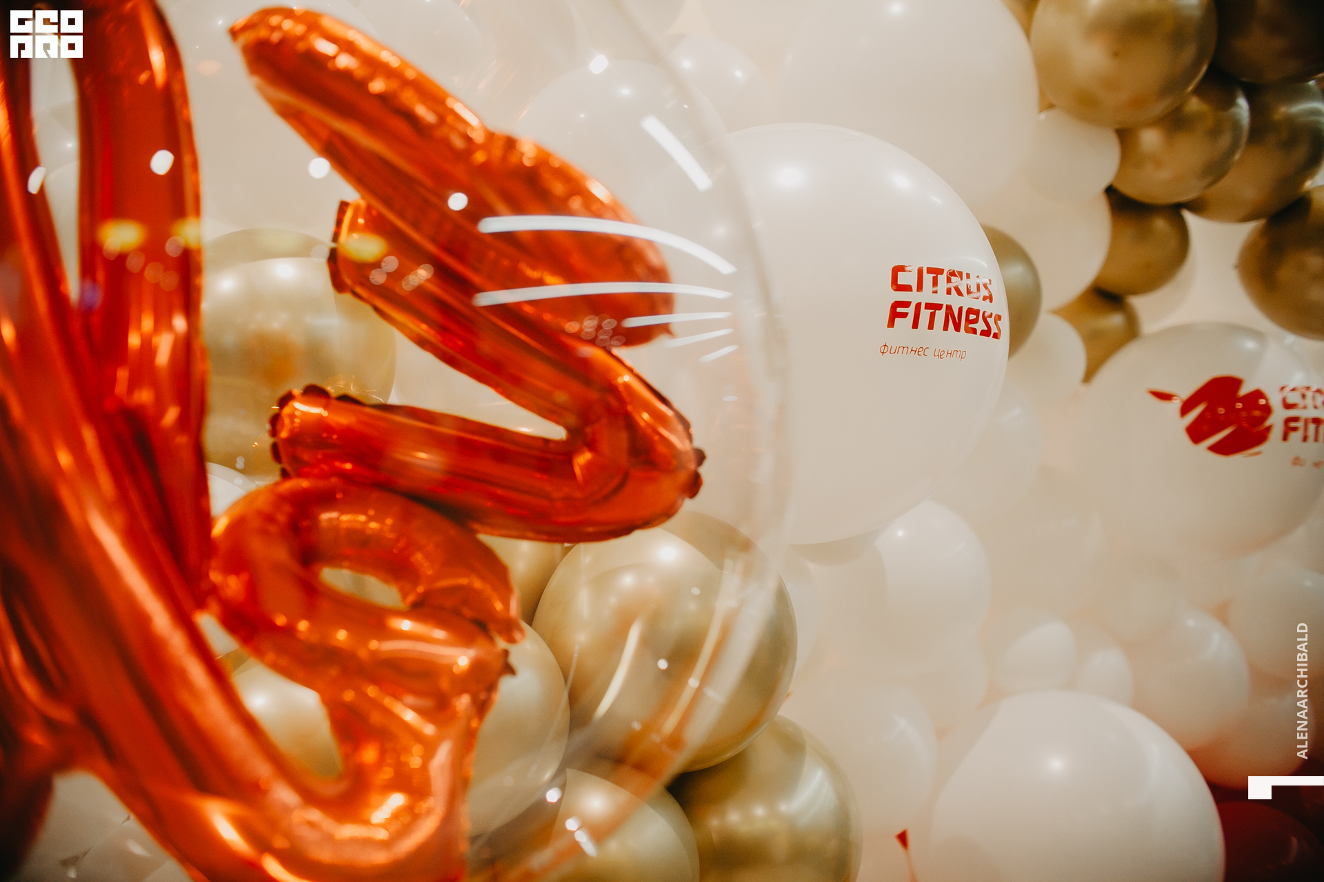 2020-02-13 18-30-41_alenaarchibald_0018.jpg