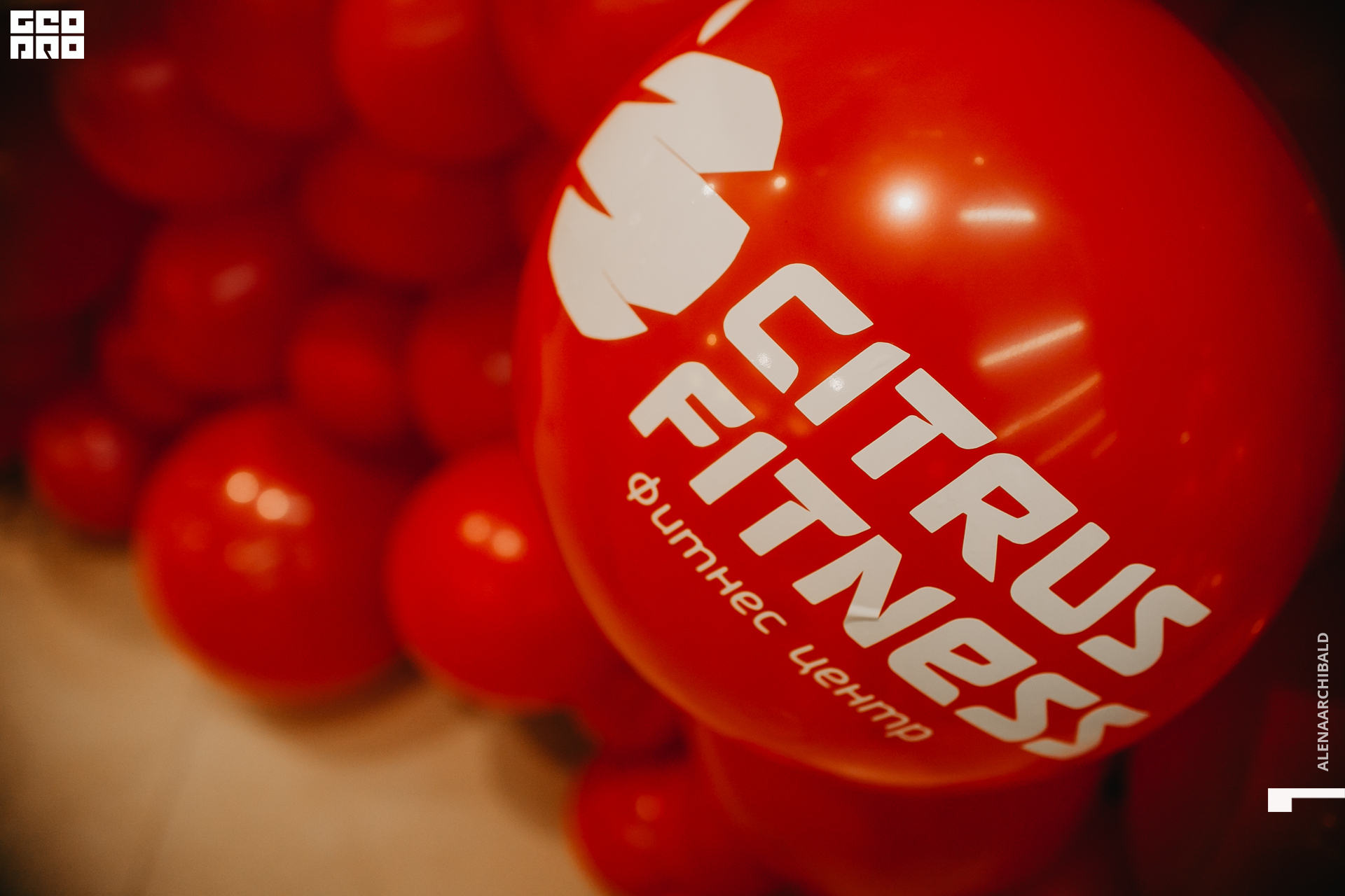 2020-02-13 18-30-41_alenaarchibald_0024.jpg