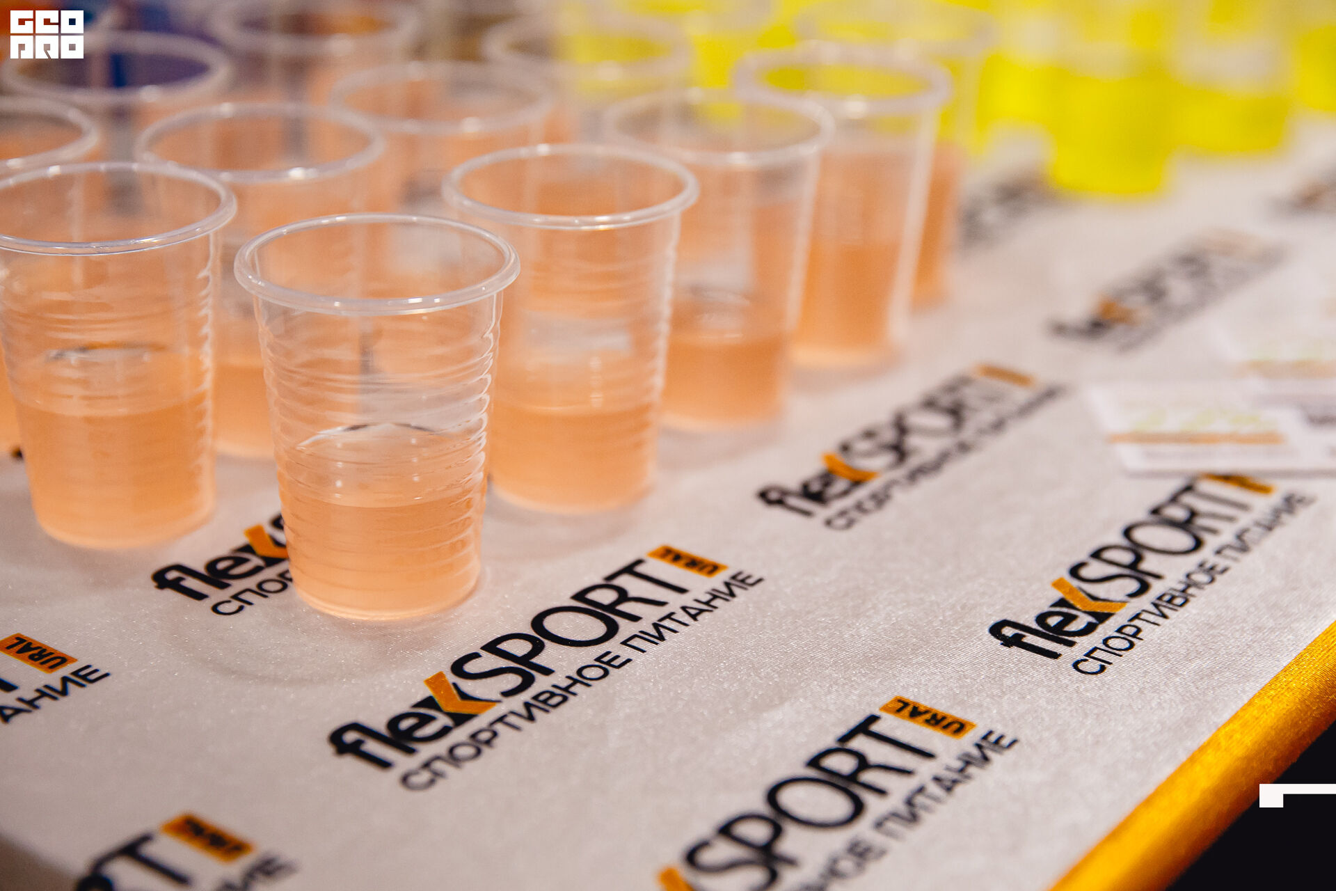 2020-02-15 11-00-00 Krylova_Kashin_024.jpg