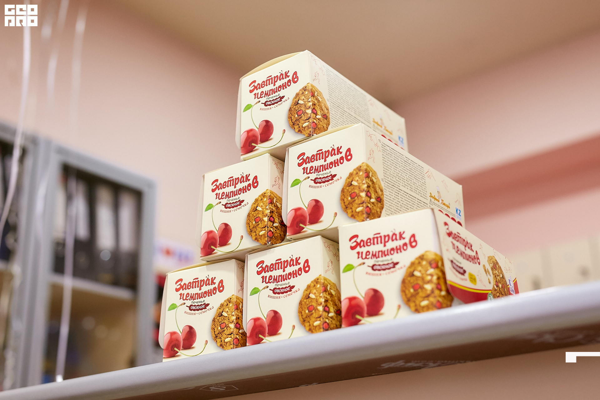 2020-02-15 11-00-00 Krylova_Kashin_074.jpg