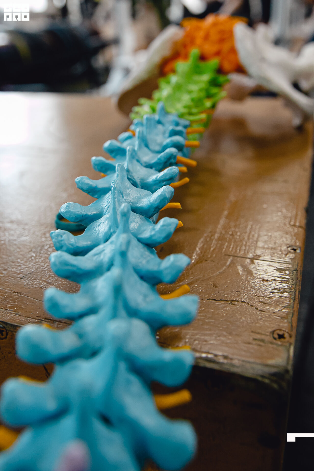 2020-02-15 11-00-00 Krylova_Kashin_170.jpg