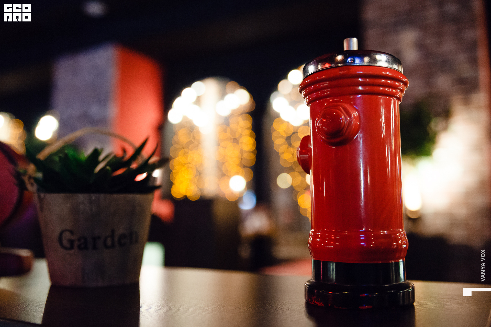 2020-02-22 19-00-00_vox_034.jpg