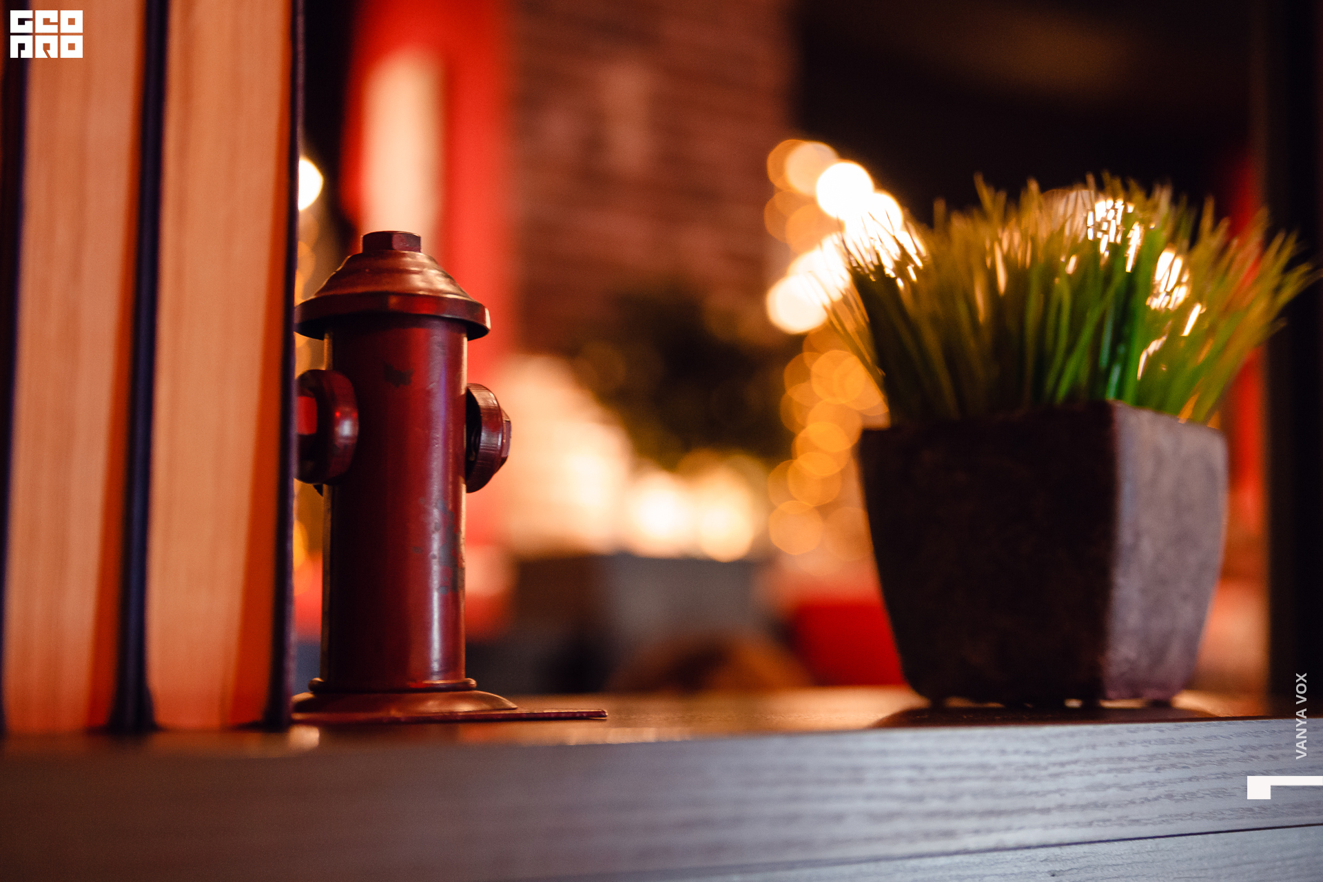 2020-02-22 19-00-00_vox_086.jpg