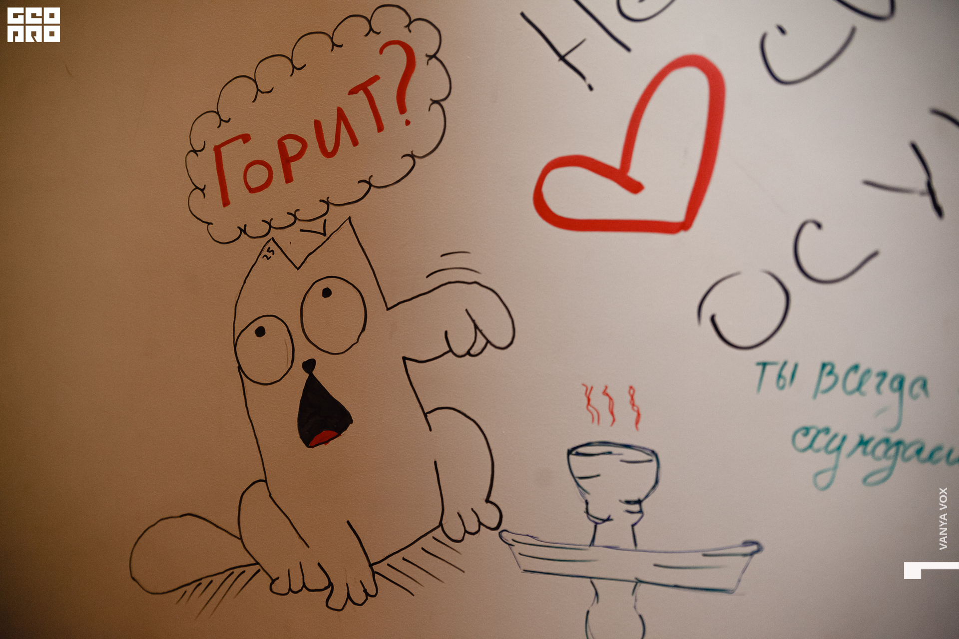 2020-02-22 22-00-00_vox_018.jpg