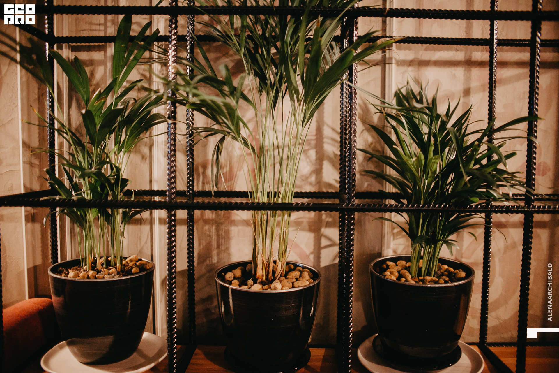 2020-02-21 20-00-21_alenaarchibald_0030.jpg