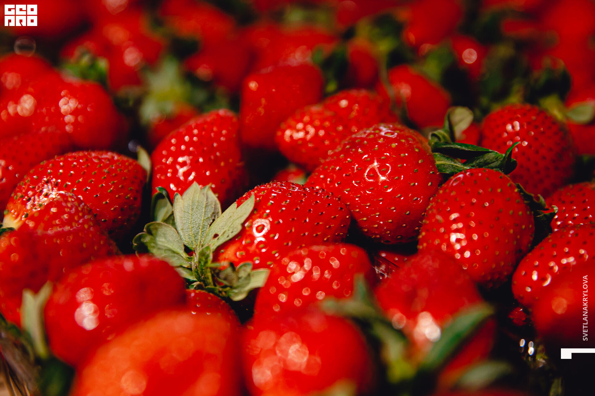 2020-02-22 19-00-00 Krylova_011.jpg