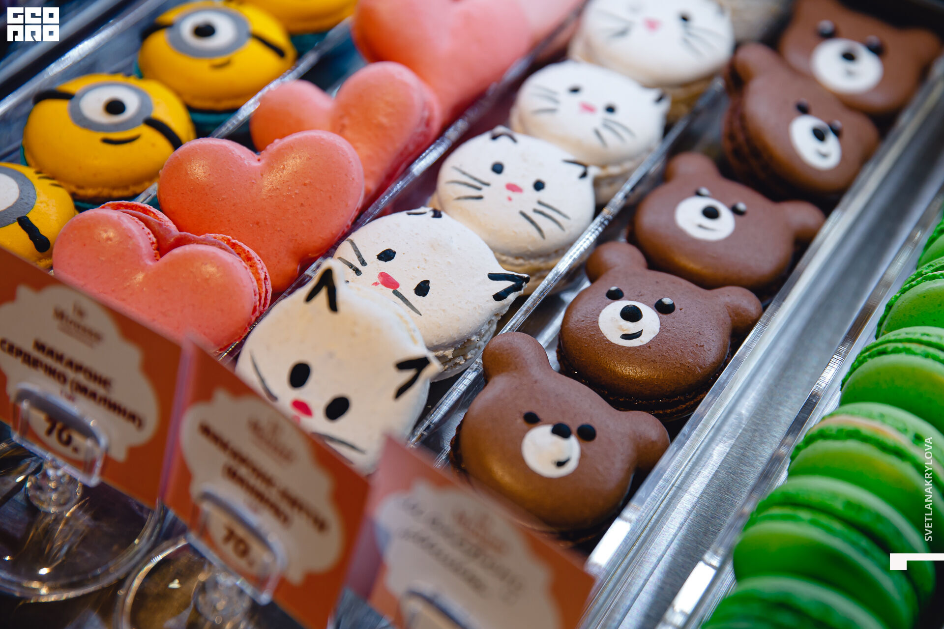 2020-02-22 19-00-00 Krylova_094.jpg