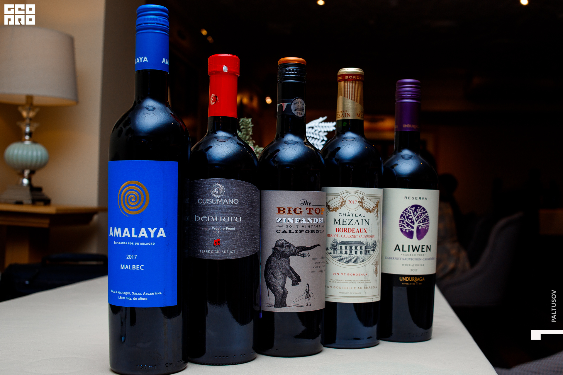 008-2020-02-20-20-13-19 - Paltusov.jpg