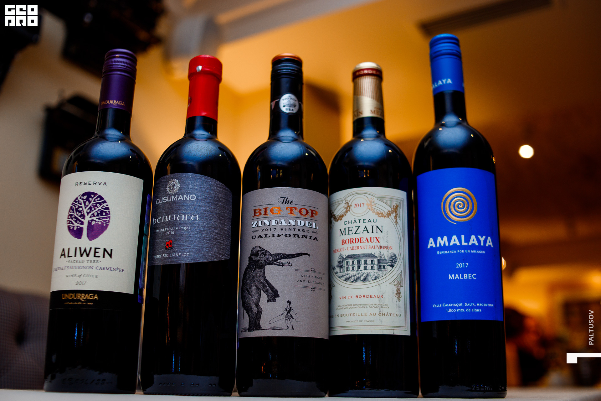 024-2020-02-20-20-14-28 - Paltusov.jpg