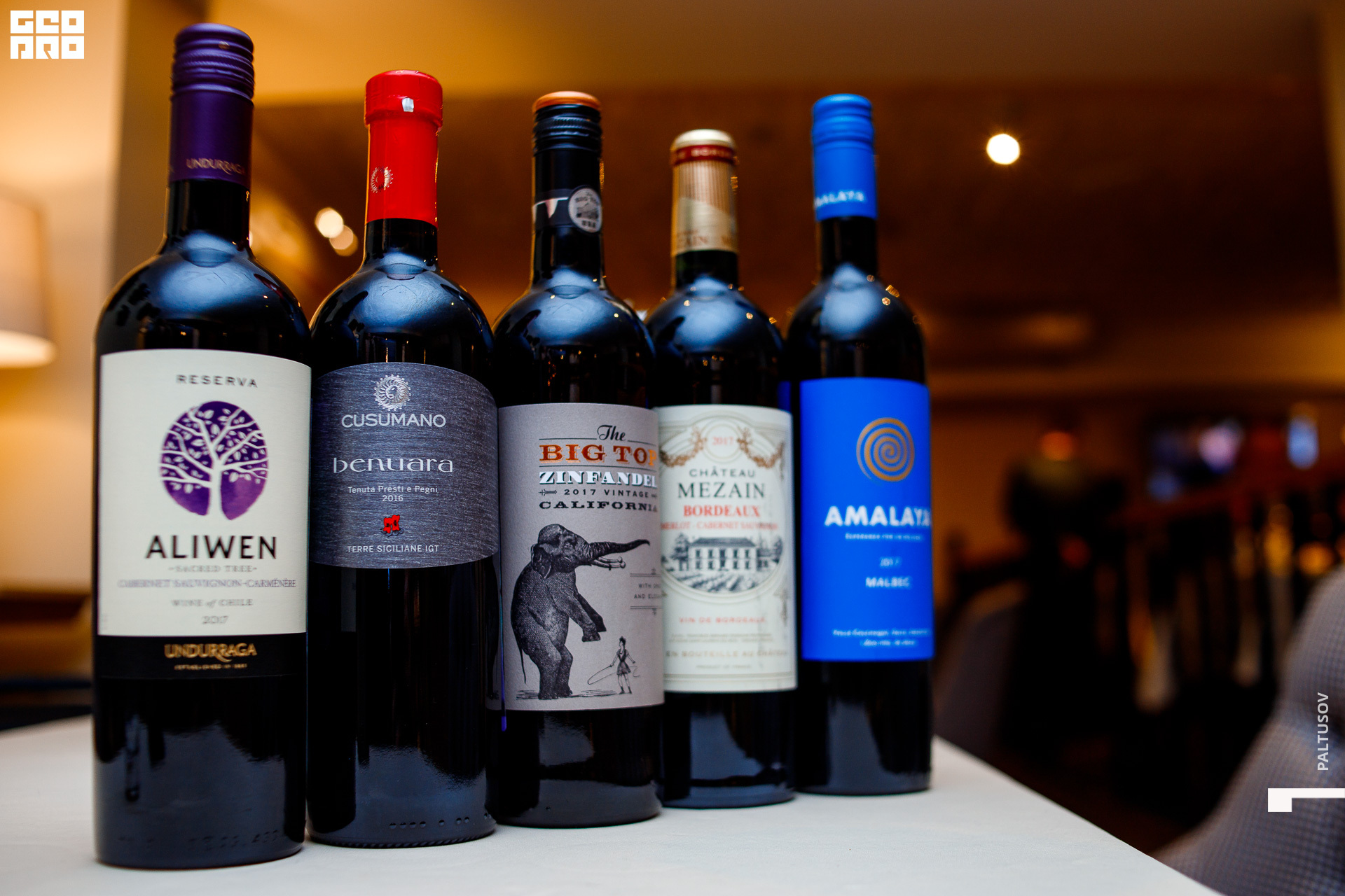 049-2020-02-20-20-14-01 - Paltusov.jpg