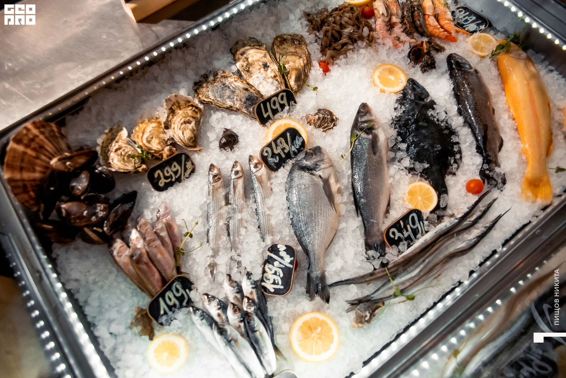 01.03.20 Гастропорт_068.jpg