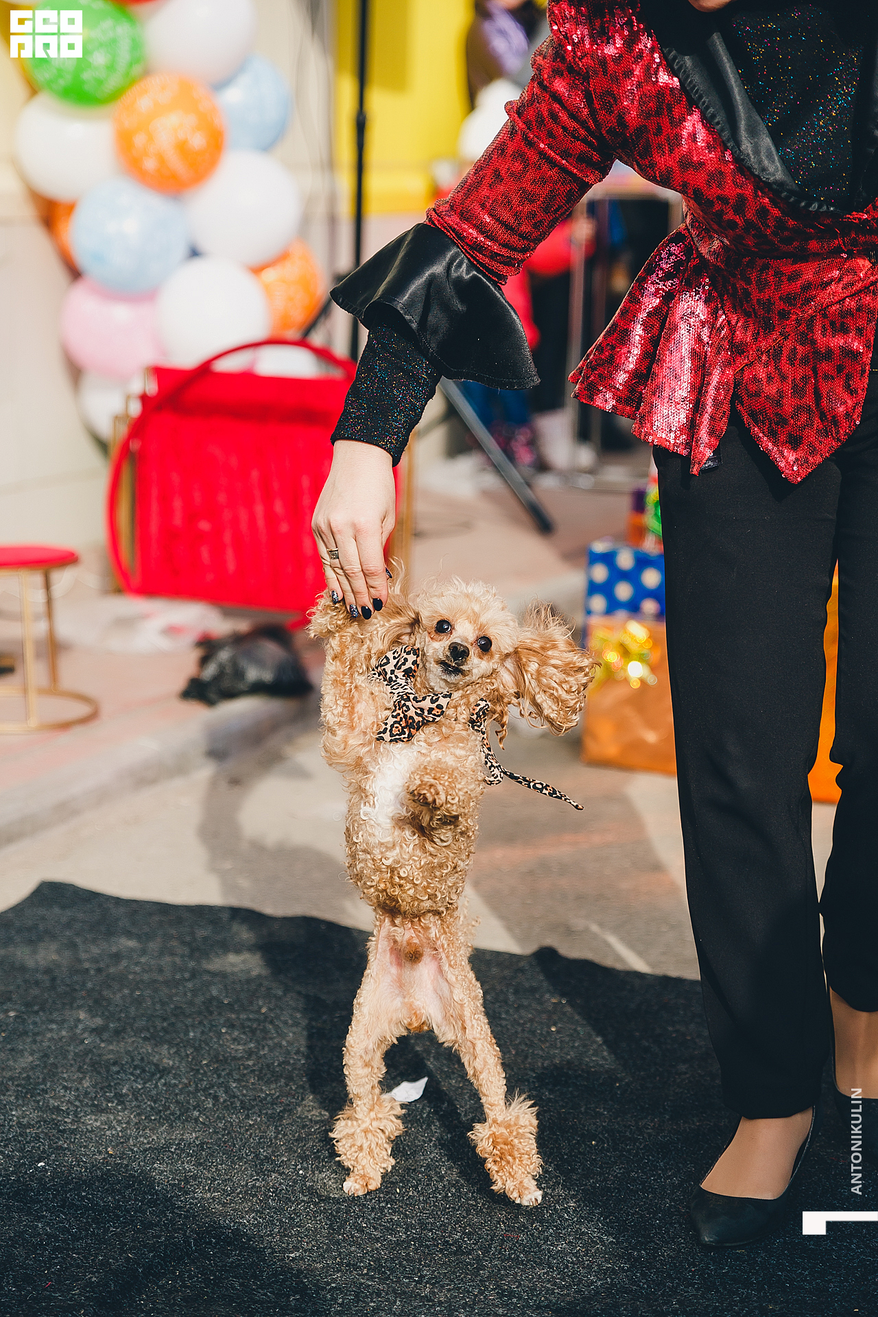 untitled shoot-0634.jpg