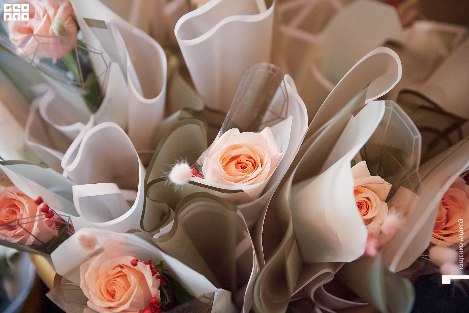 019 IMG_8418  ФНД.jpg