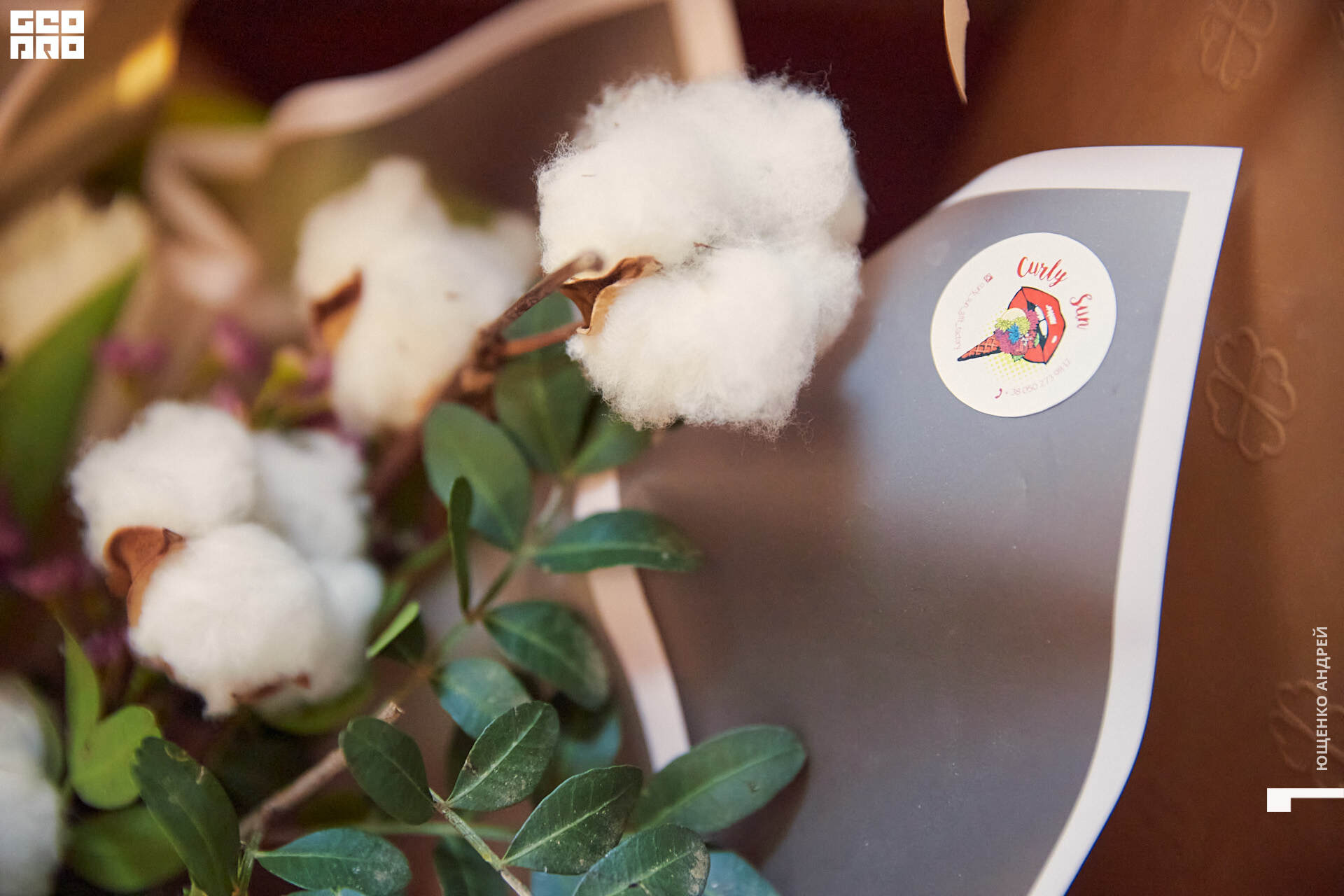 022 IMG_8425  ФНД.jpg