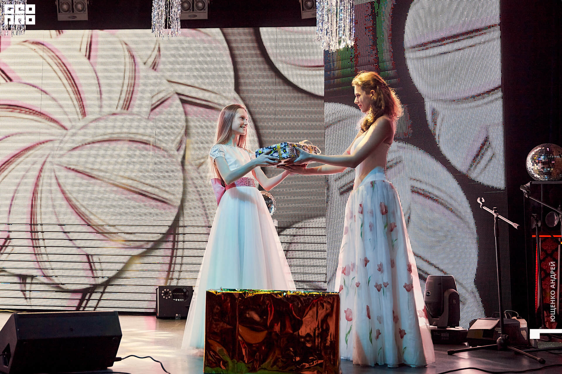 255 IMG_9411  ФНД.jpg