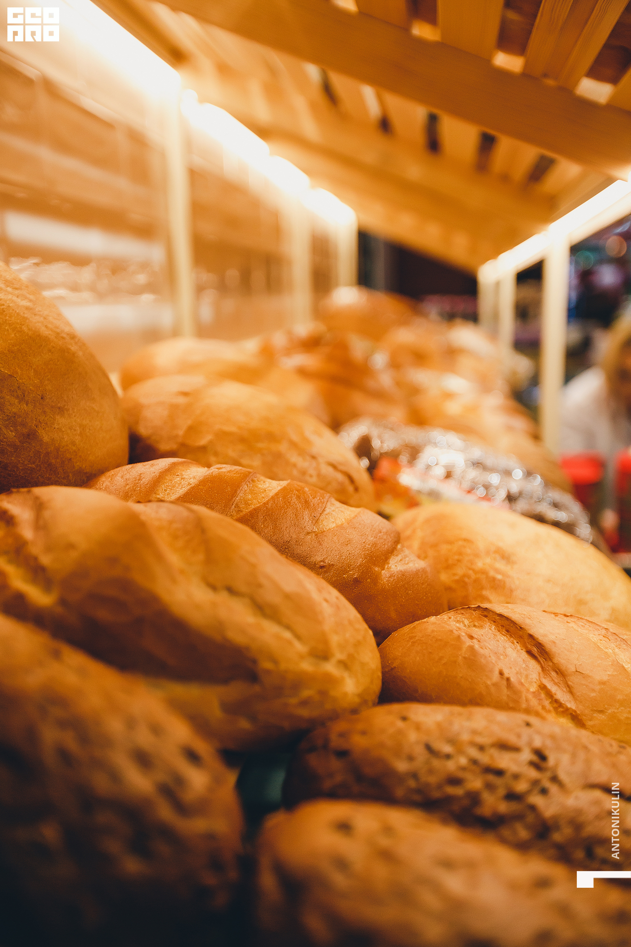 untitled shoot-1026.jpg