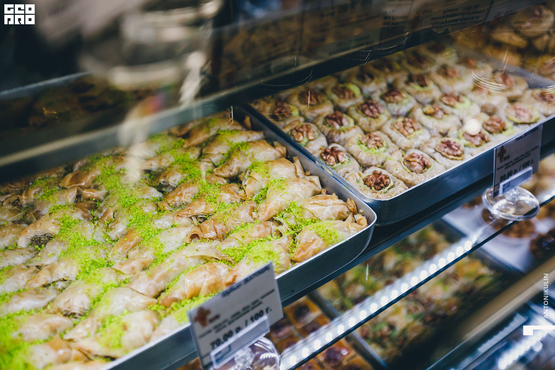 untitled shoot-1058.jpg