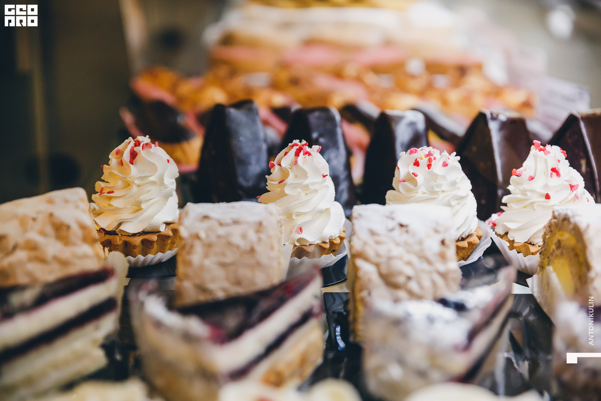 untitled shoot-1085.jpg