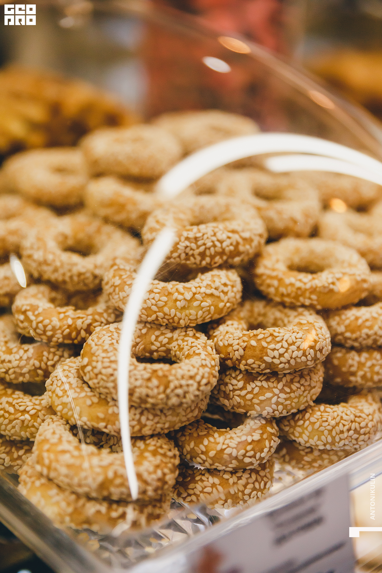 untitled shoot-1124.jpg