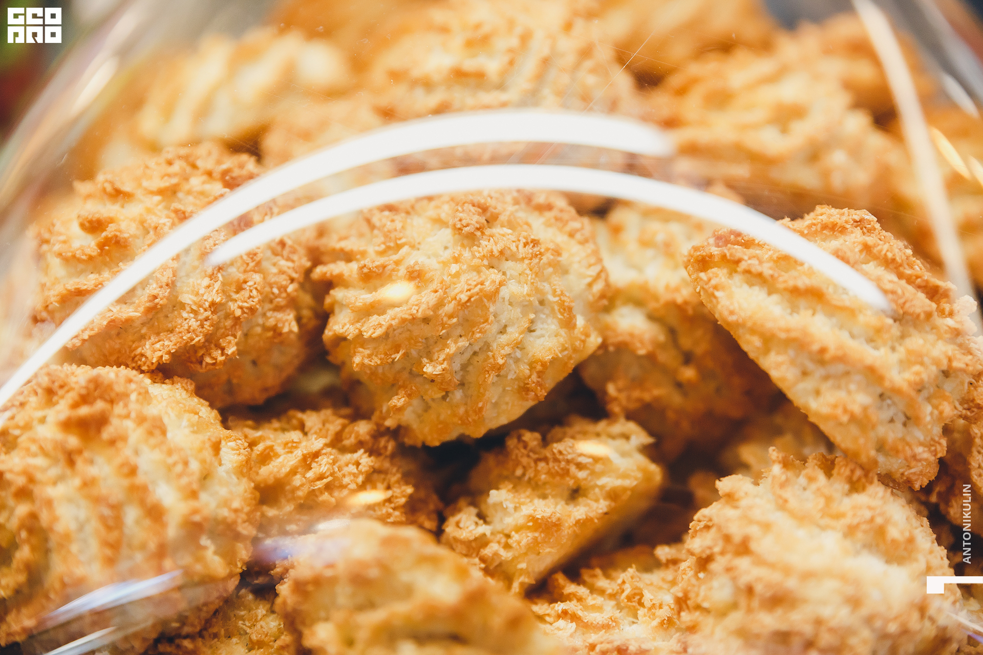 untitled shoot-1195.jpg