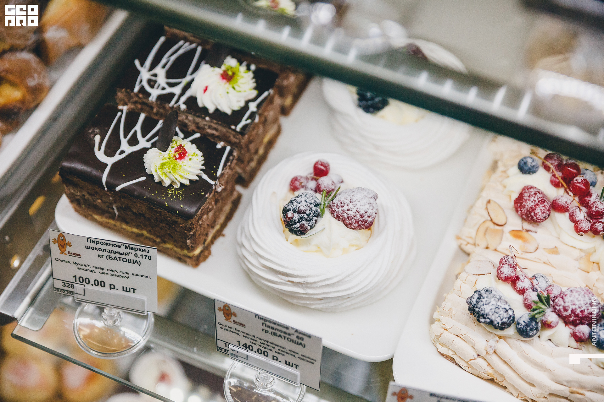 untitled shoot-1214.jpg