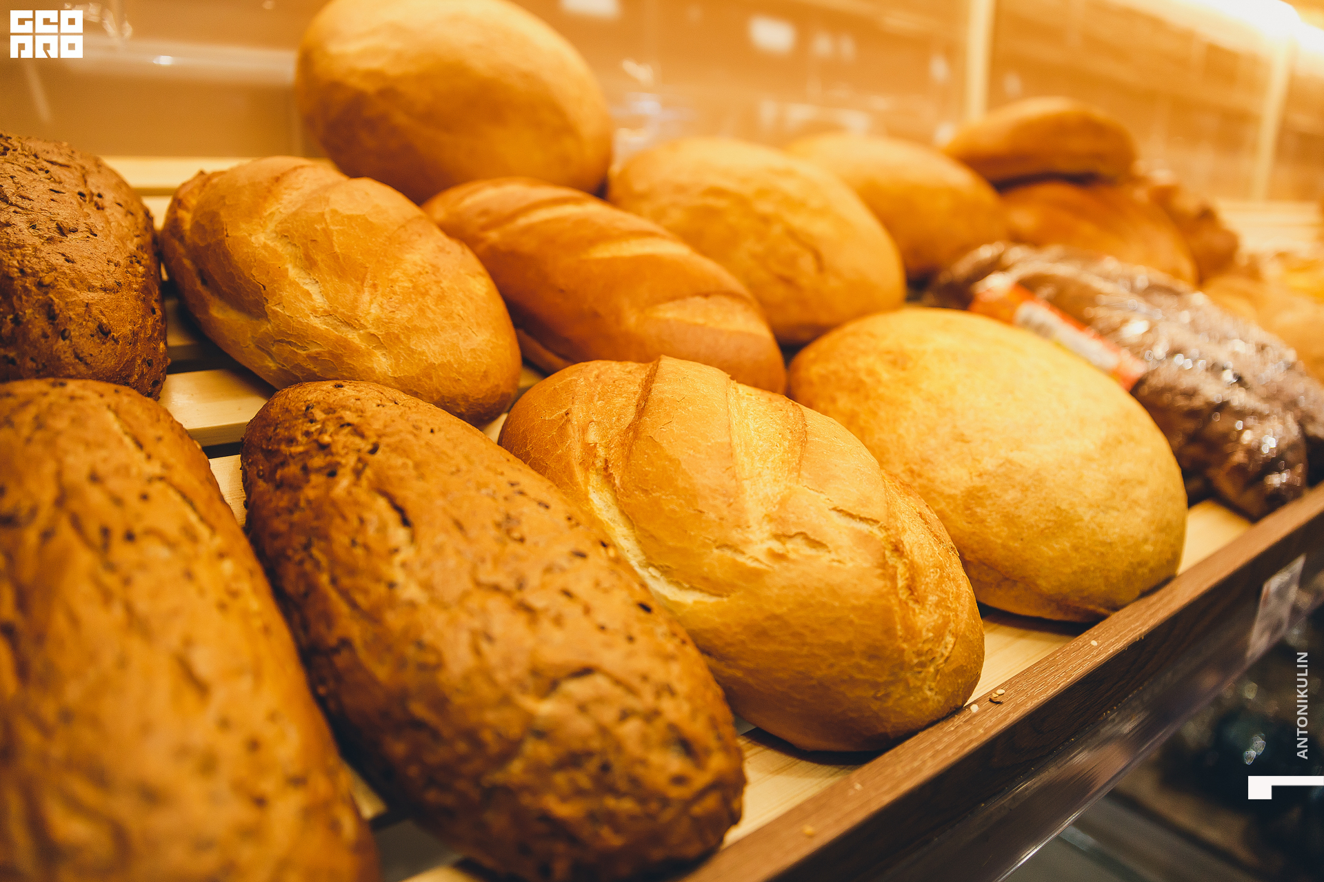 untitled shoot-1246.jpg