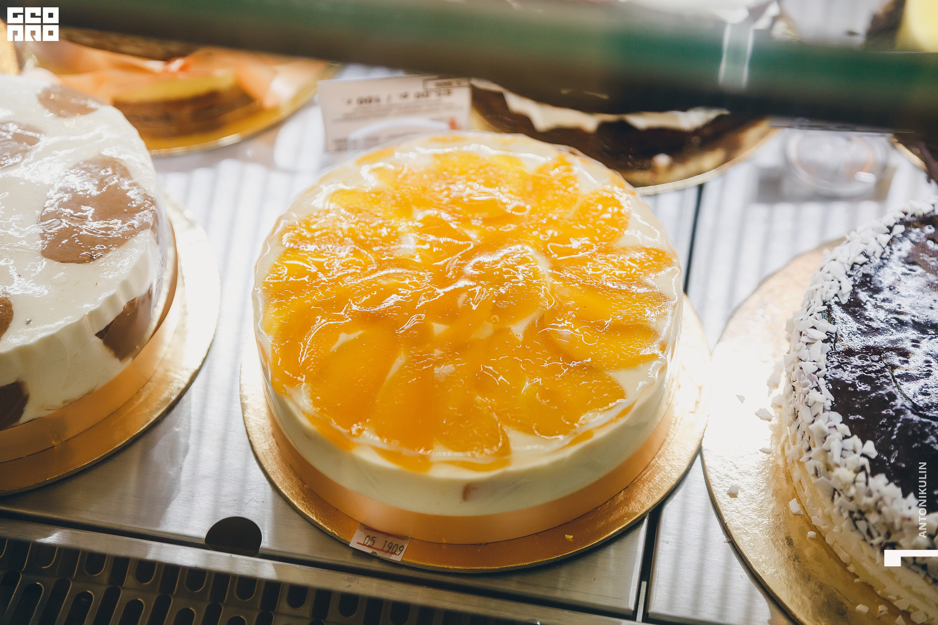 untitled shoot-1248.jpg