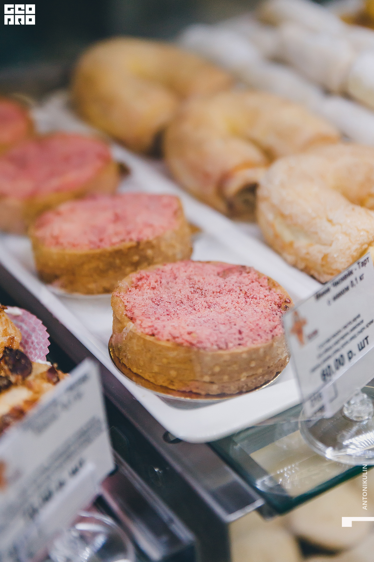 untitled shoot-1343.jpg