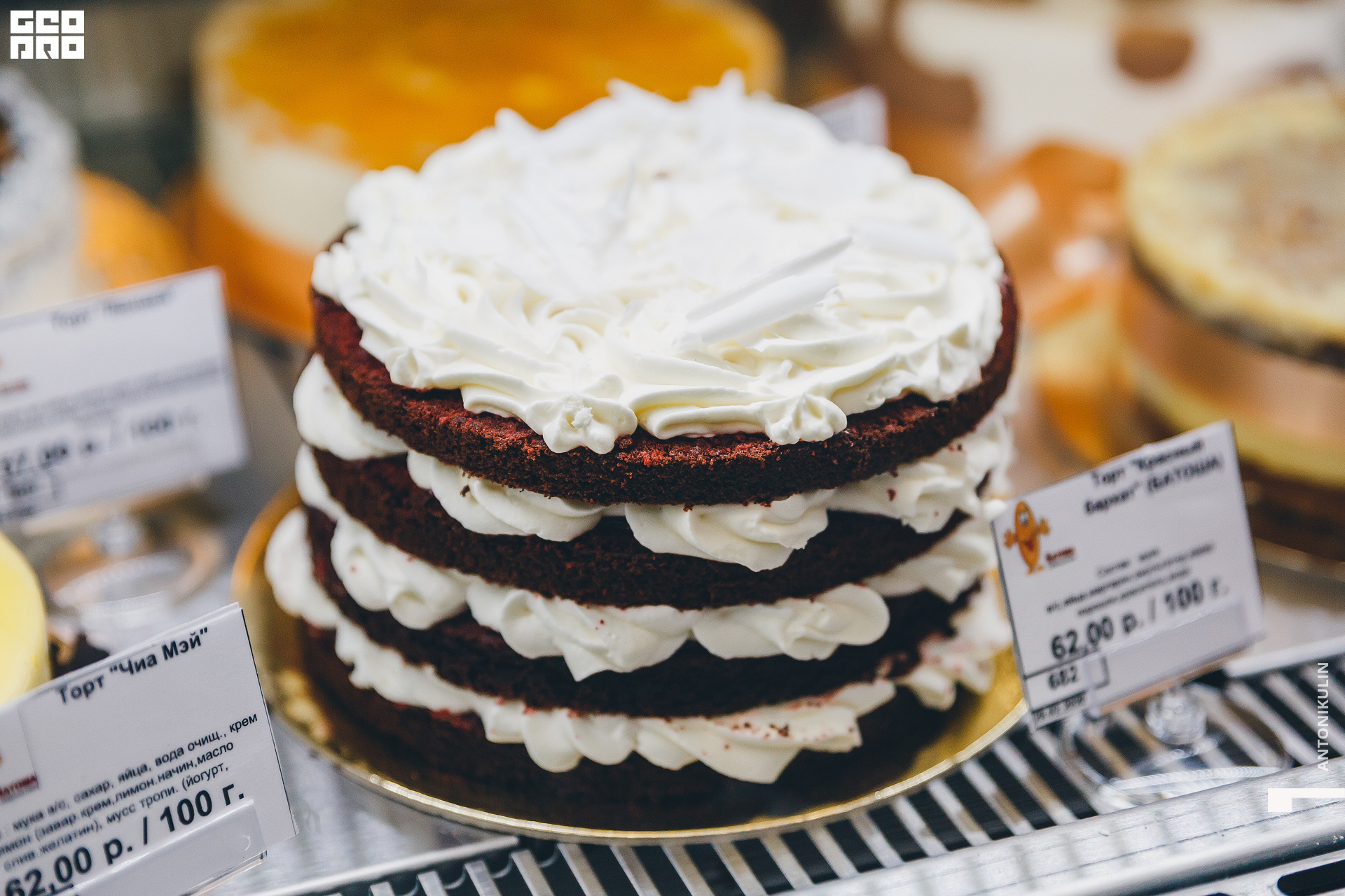 untitled shoot-1350.jpg