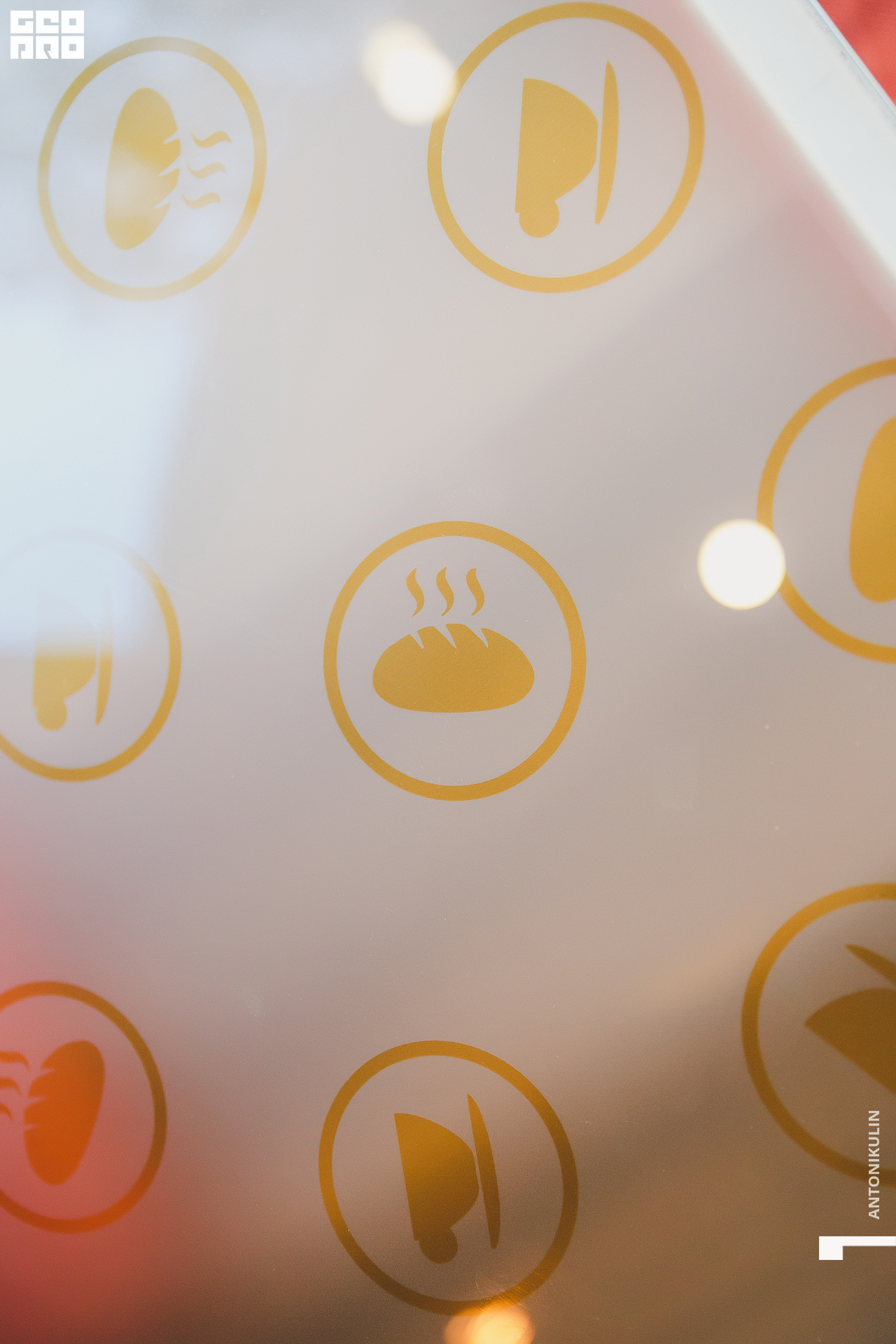 untitled shoot-1366.jpg