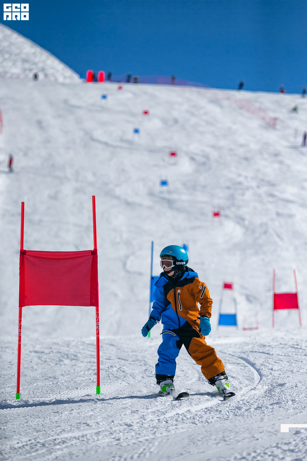 AI2V7361-29 копия.jpg